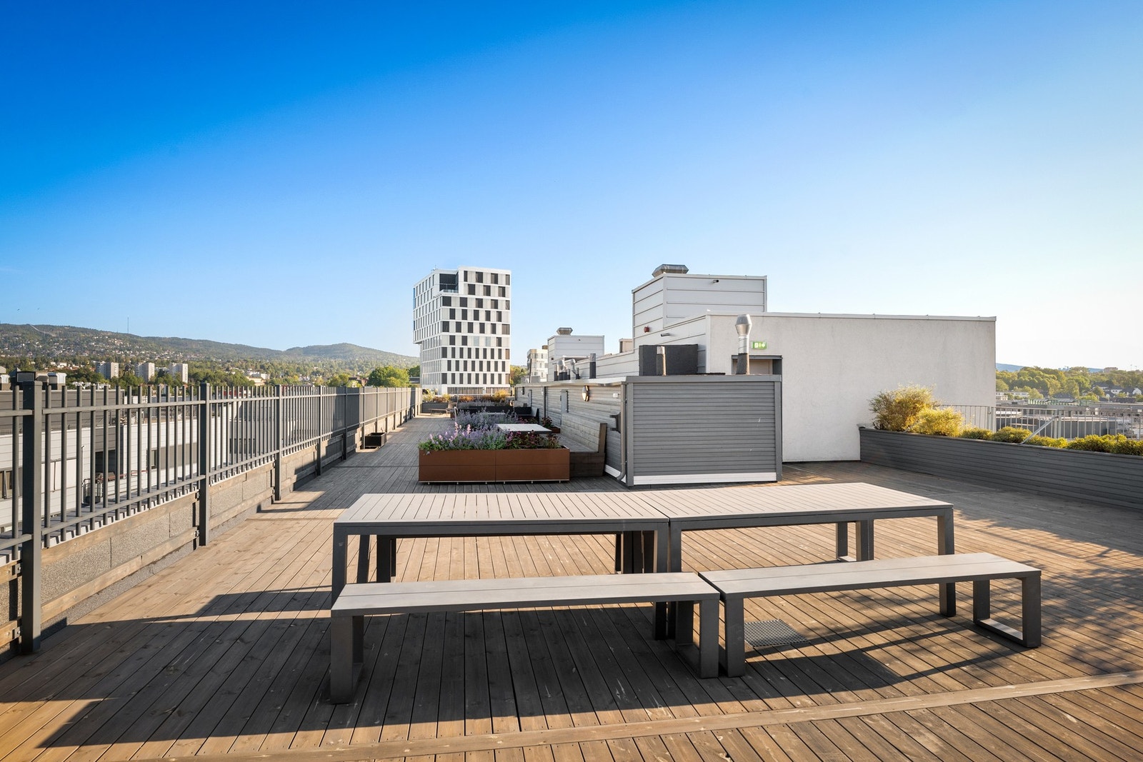 Felles takterrasse med sol fra morgen til kveld. Galleribilde