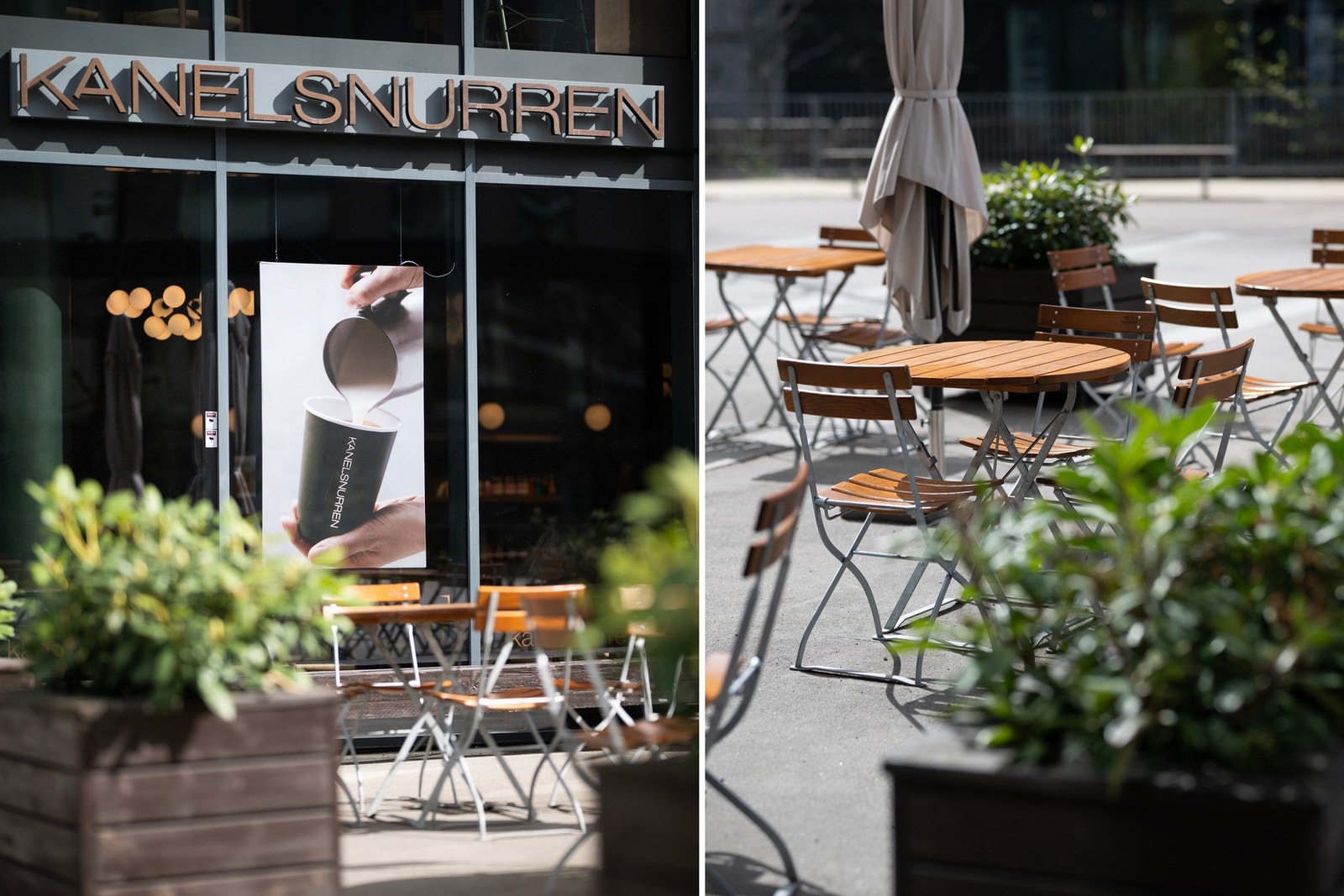 Kanelsnurren Skøyen. Galleribilde