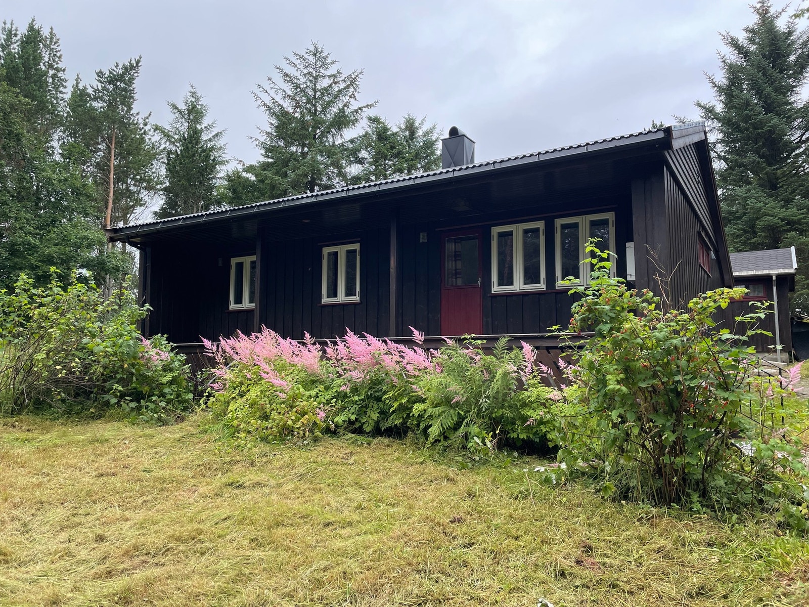 Velkommen til Sandblåstvegen 140! Galleribilde