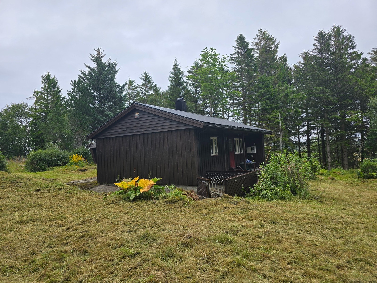 Naturtomt oppå et høydedrag med lauv - og barskog rundt tomten Galleribilde