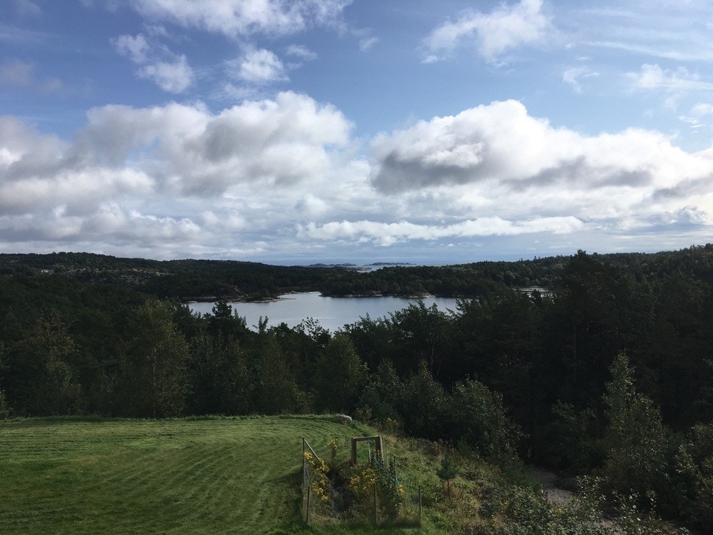 Bilde fra tomt 4 Galleribilde