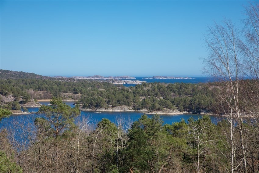 Utsikt utover Harkmarksfjorden Galleribilde
