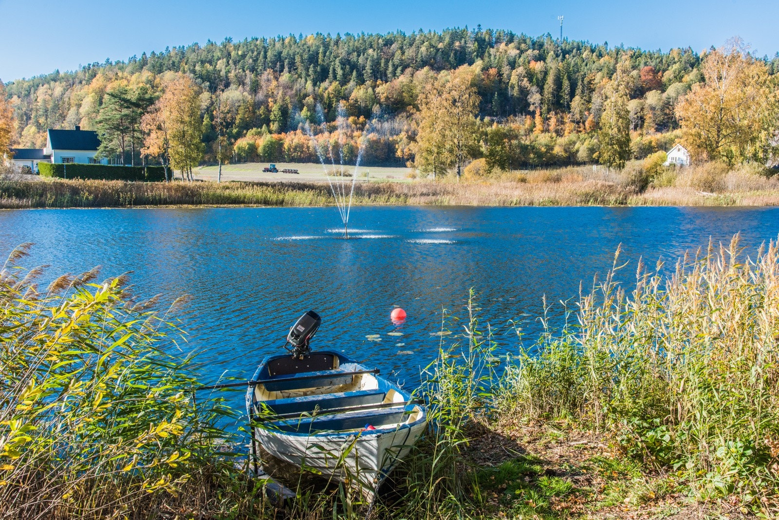 I Kodal har du flere fine turområder Galleribilde