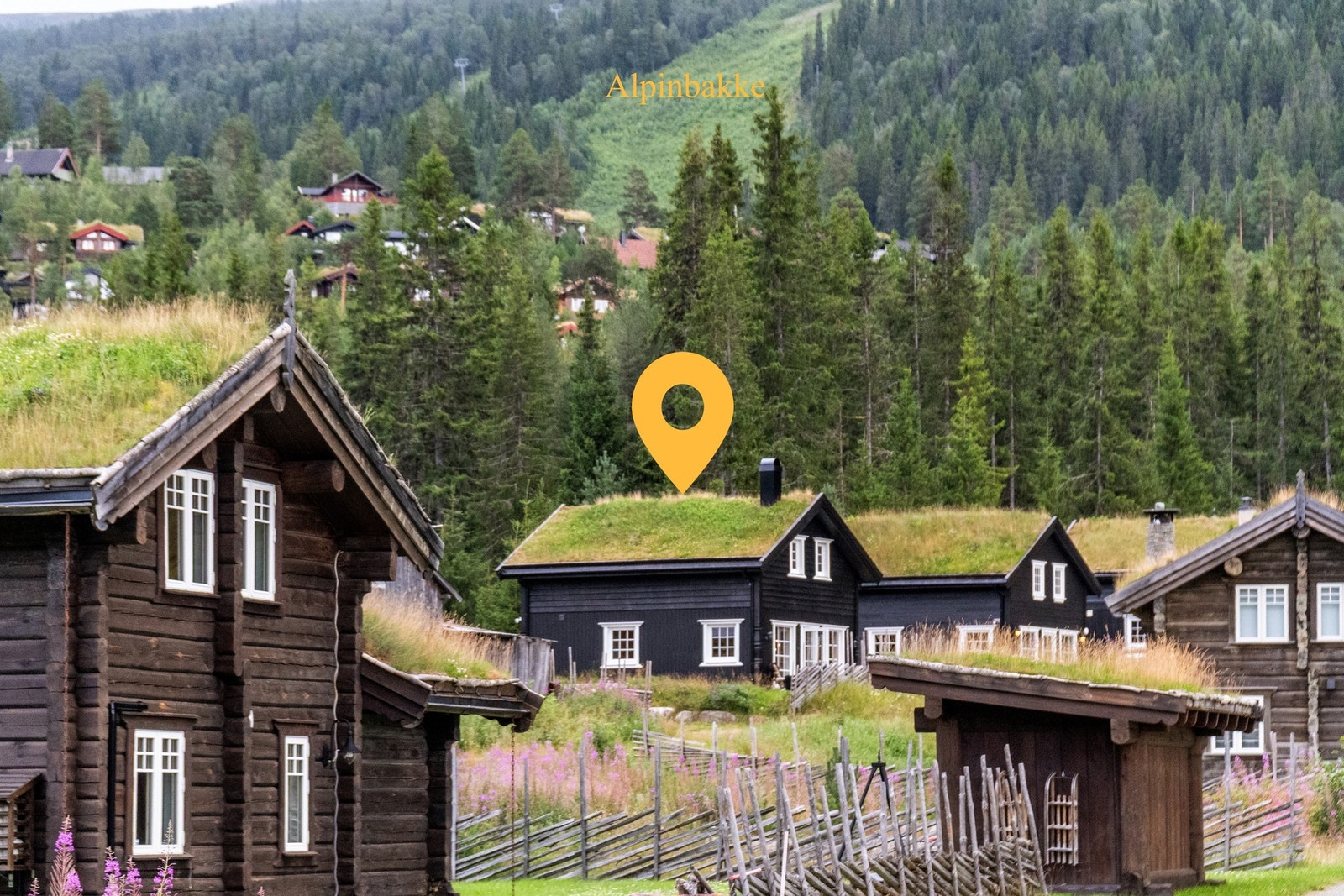 Hytta Ligger rett ved Uvdal Skisenter kjent for et godt alpintilbud Galleribilde