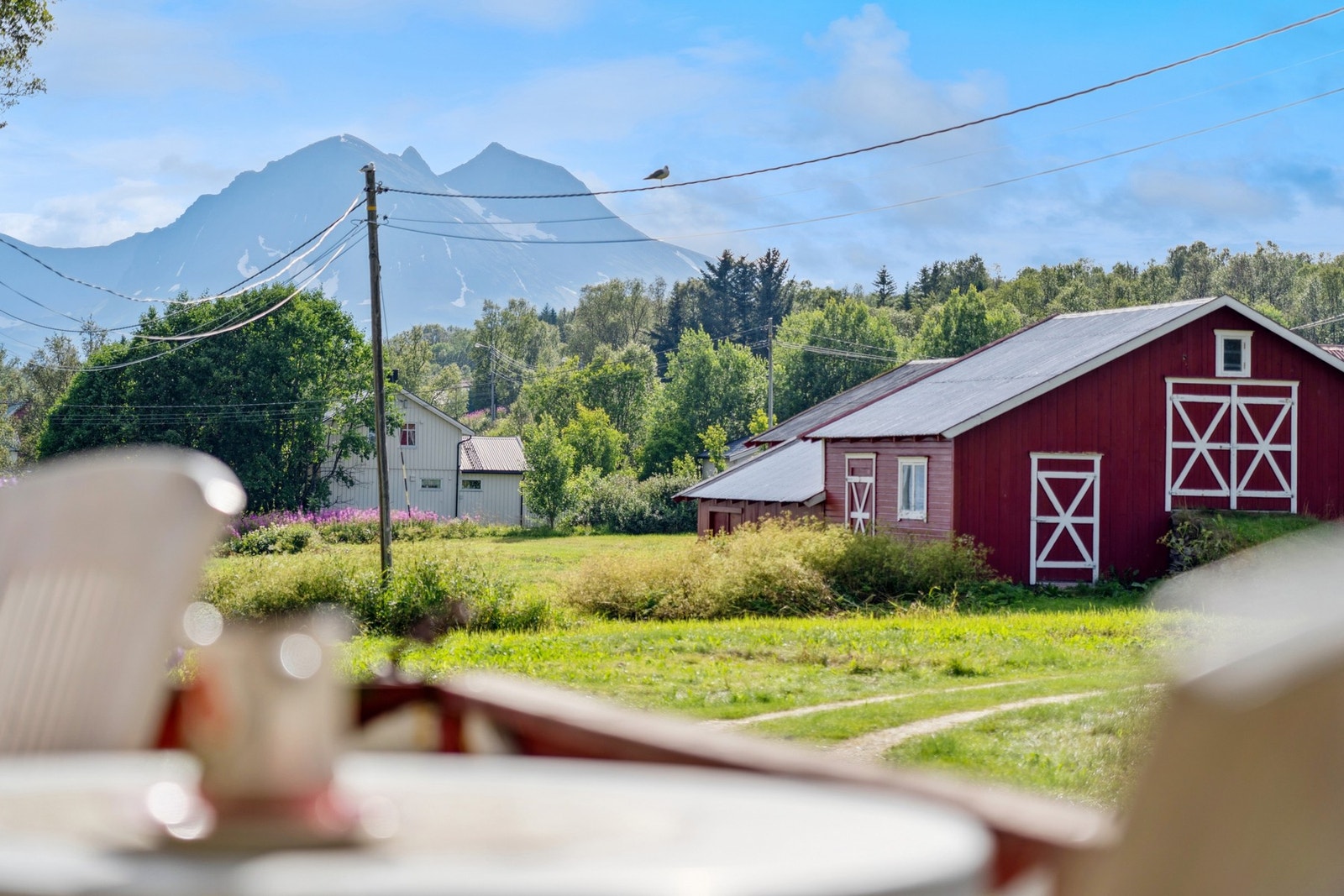 Utsikt fra kjøkken Galleribilde