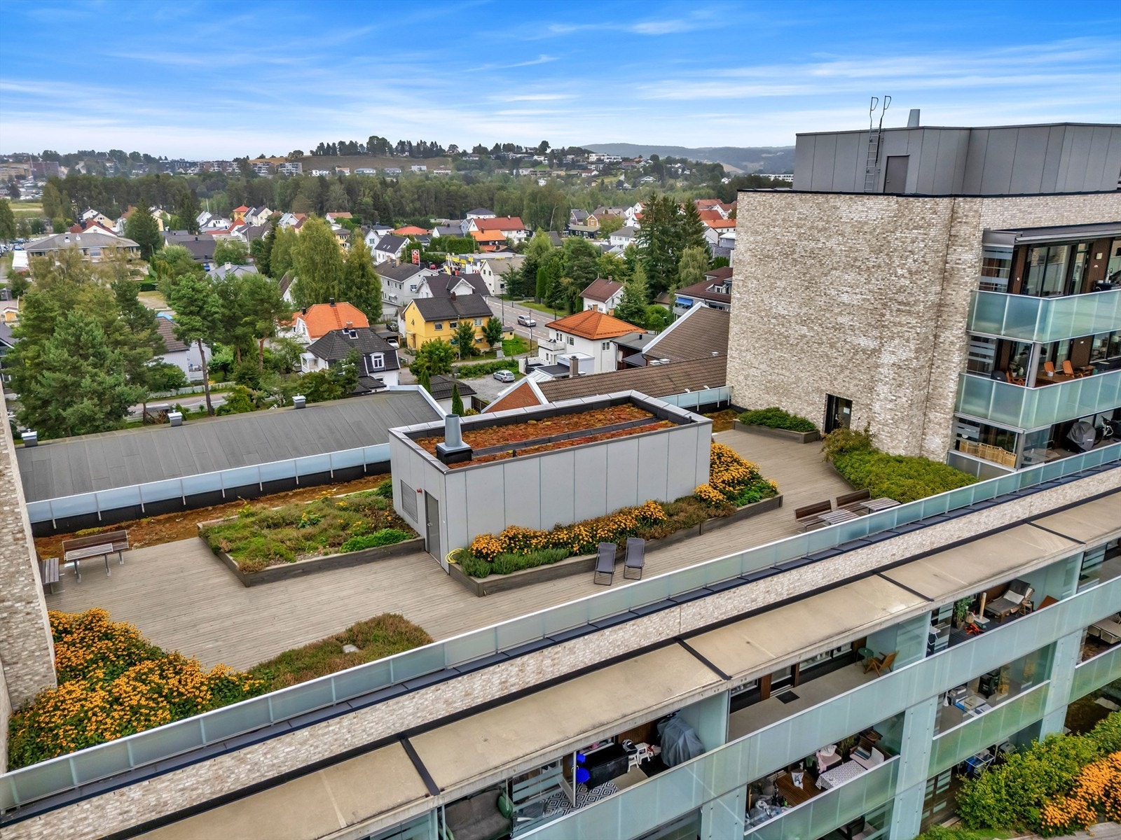 Felles takterrasse. Galleribilde