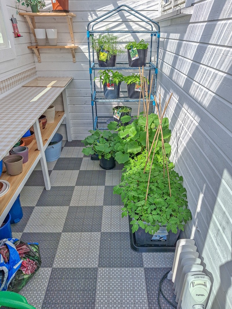 Drivhus med adkomst fra veranda. Galleribilde