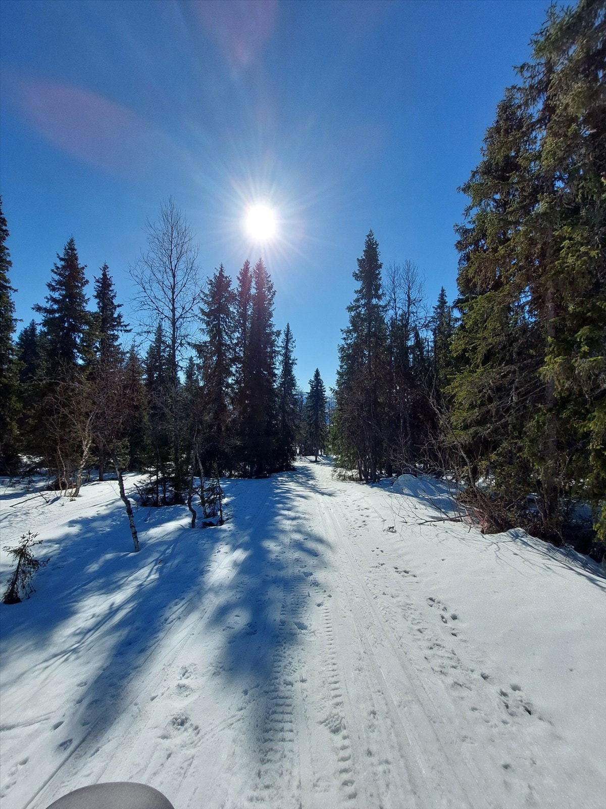 Selgers private bilde - Utsikt fra stien til Nedre Damtjønn/skiløyper. Galleribilde
