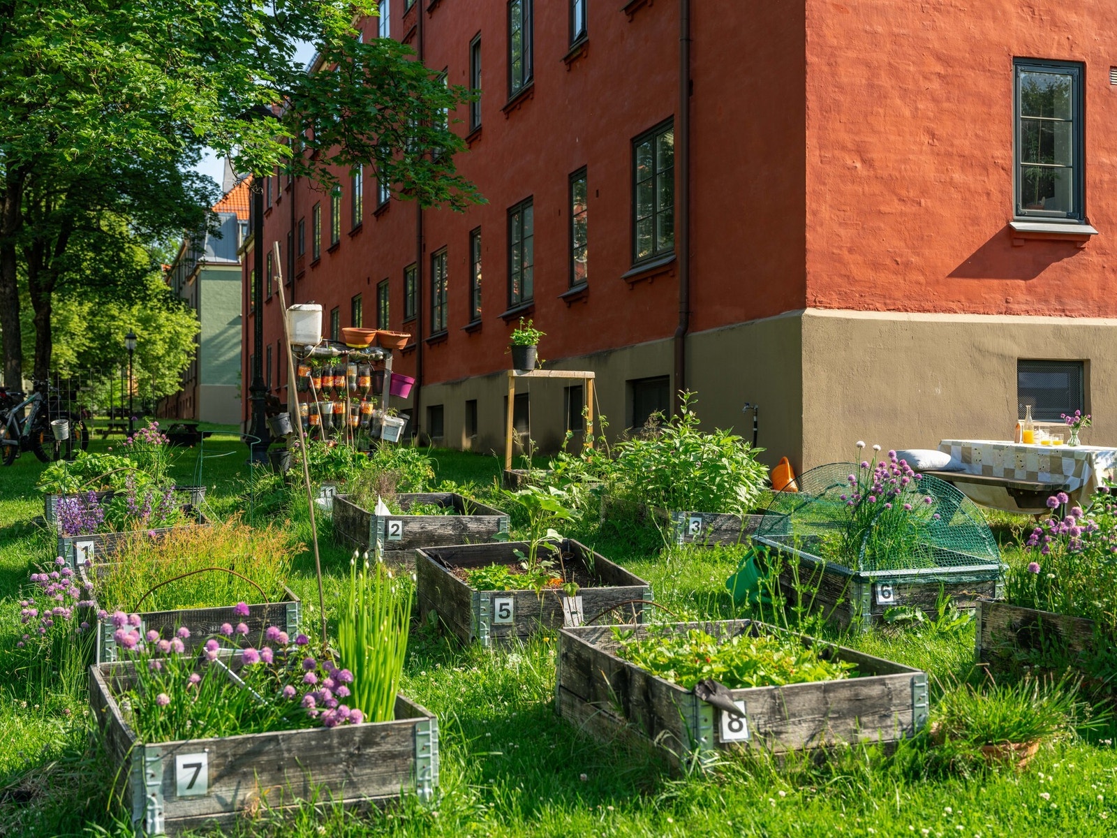 Her er det også tilrettelagt med plantekasser som beboerne kan benytte seg av. Galleribilde