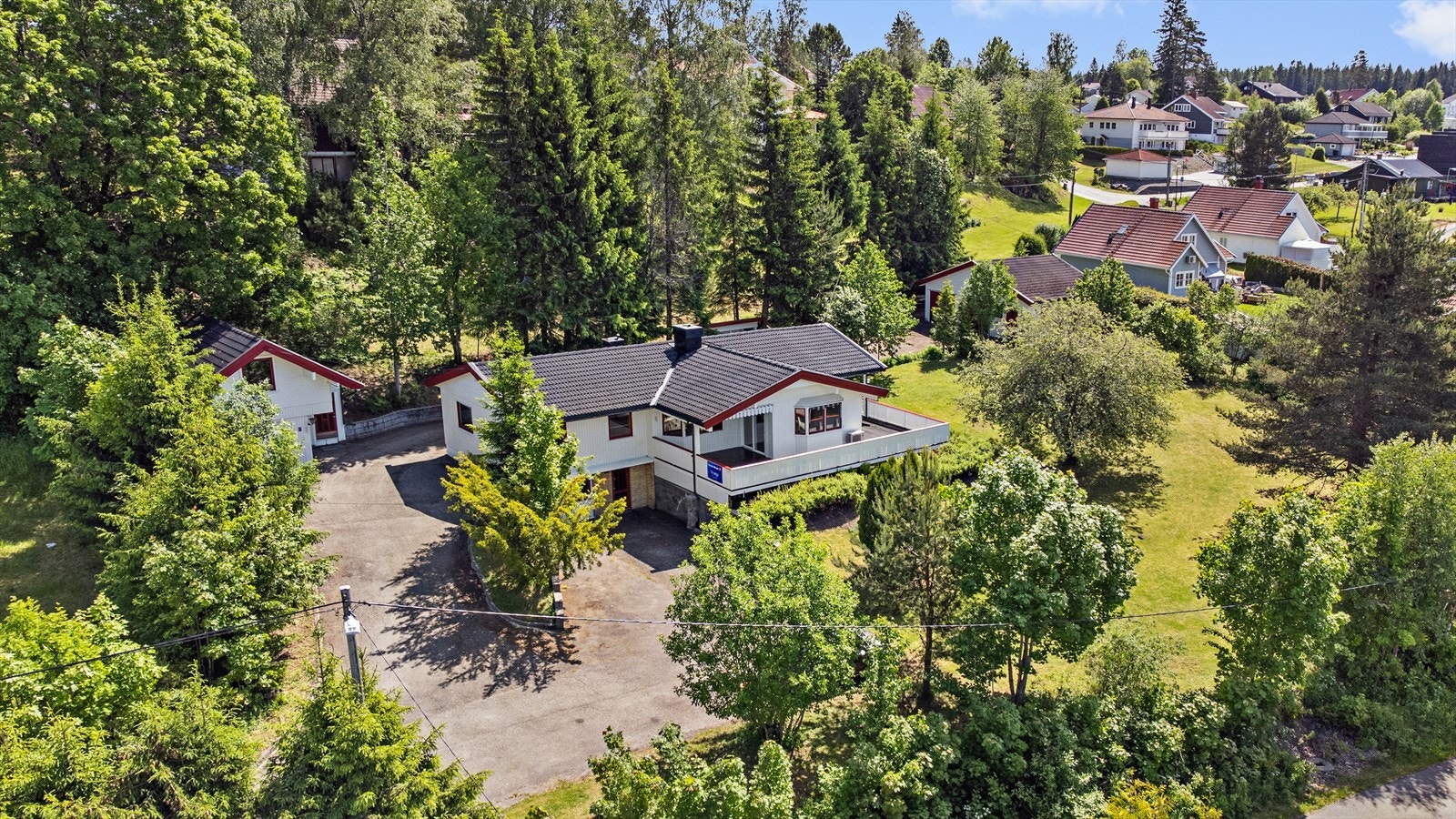 Stor tomt med opparbeidet hage og flere store trær. Galleribilde