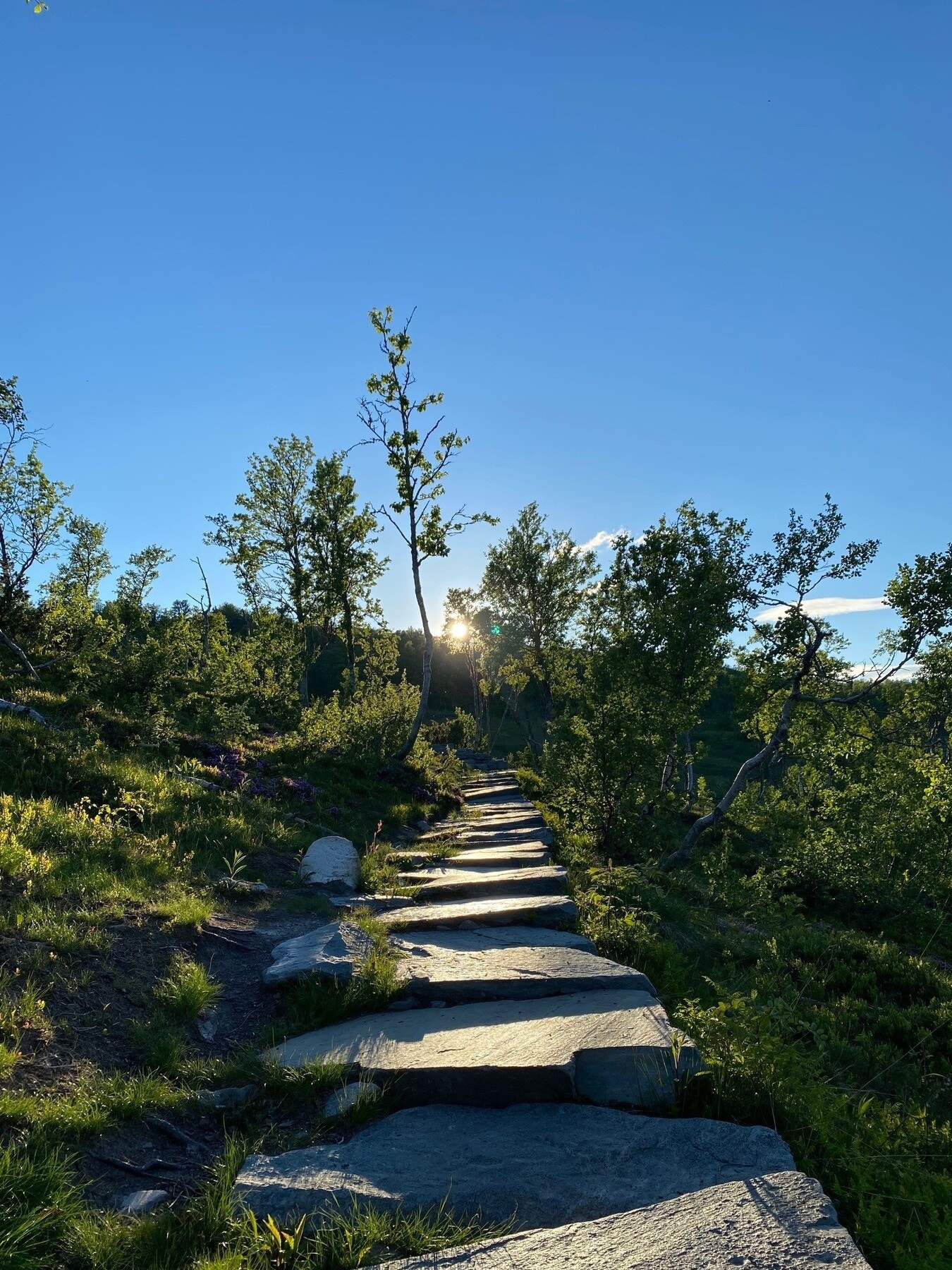Turen opp til Falkenuten er belagt med heller Galleribilde
