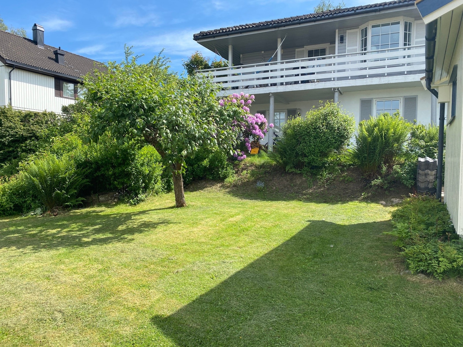 Privatbilde - Hagen Galleribilde