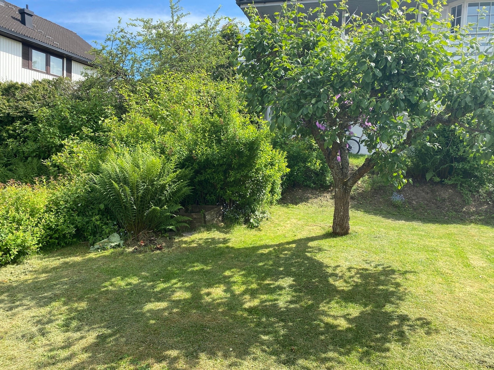 Privatbilde - Hagen Galleribilde