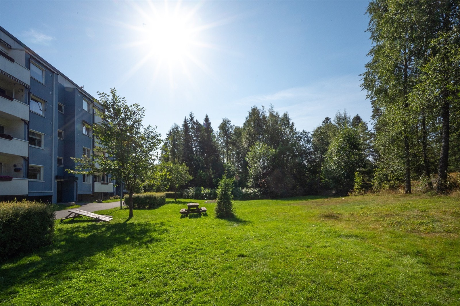 Bor du i Bølerskogen, på denne rekka, så føler du at du bor i marka/skogen! Galleribilde