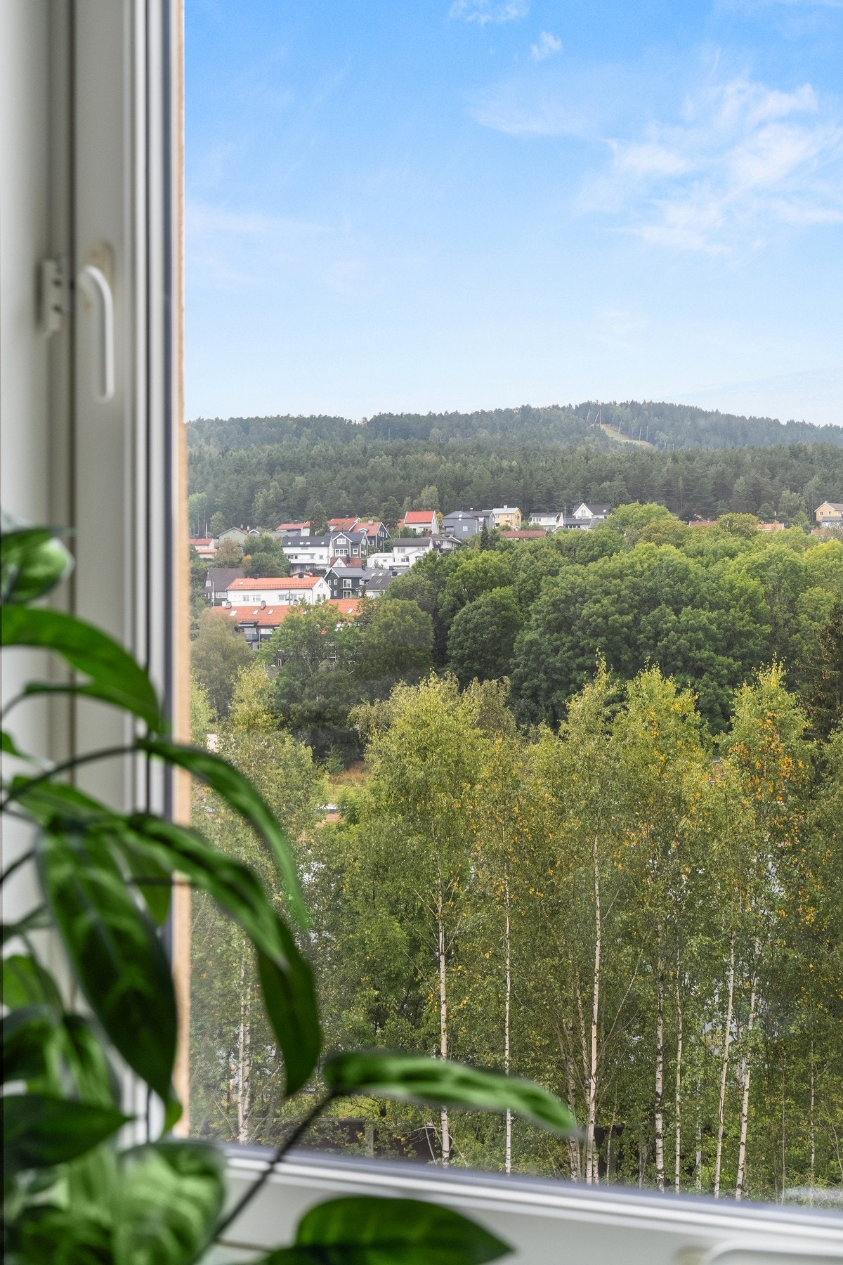 Alle rommene har flott utsikt fra vinduene. Galleribilde