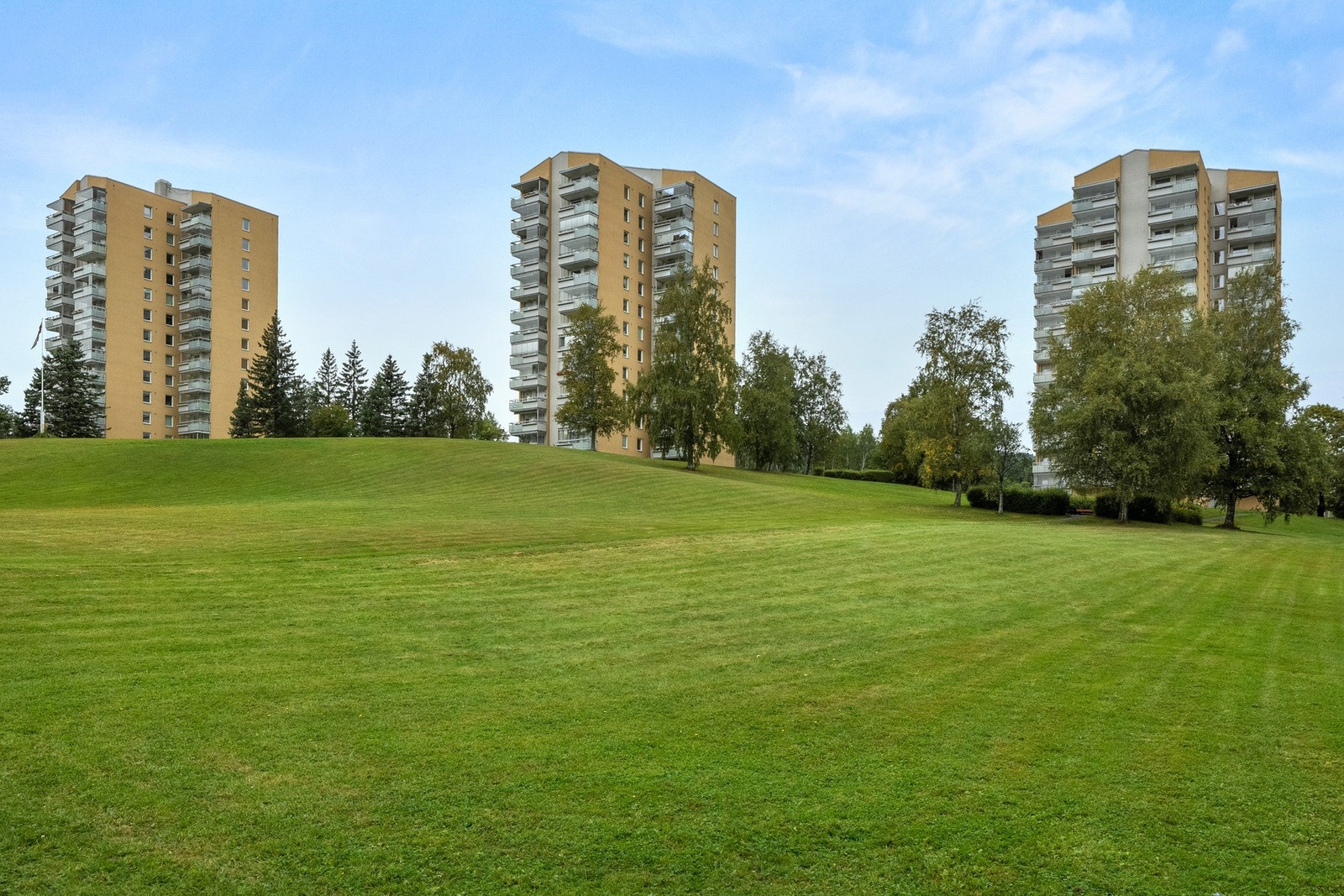 Bjerke Borettslag består av 5 høyblokker à 12 etasjer og en langblokk med 4 etasjer med til sammen 304 leiligheter. Galleribilde