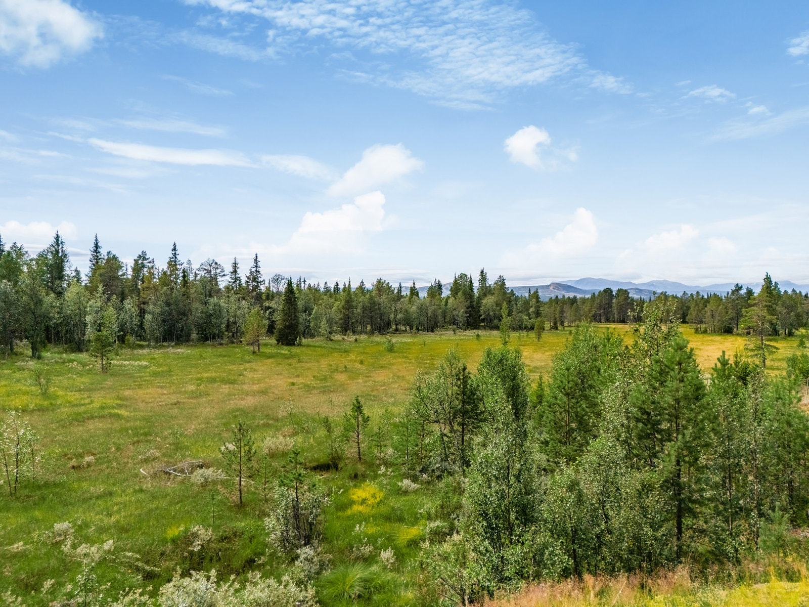 Området er en helårsdestinasjon. Her er det flere aktivitetsmuligheter året rundt. Galleribilde