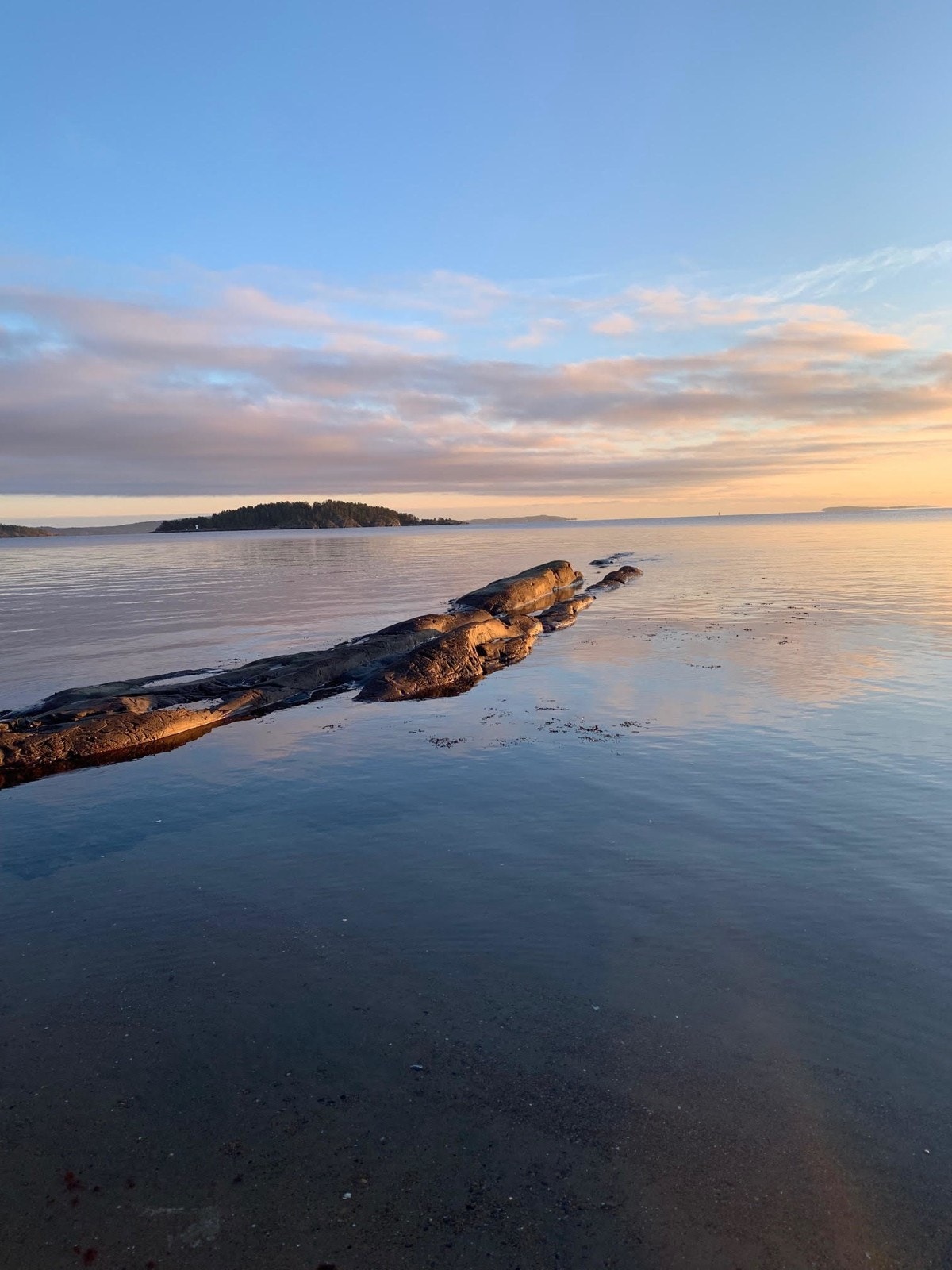 Nærområde Galleribilde