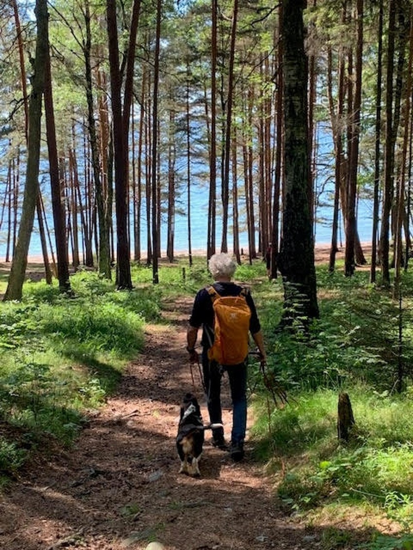 Nærområde Galleribilde