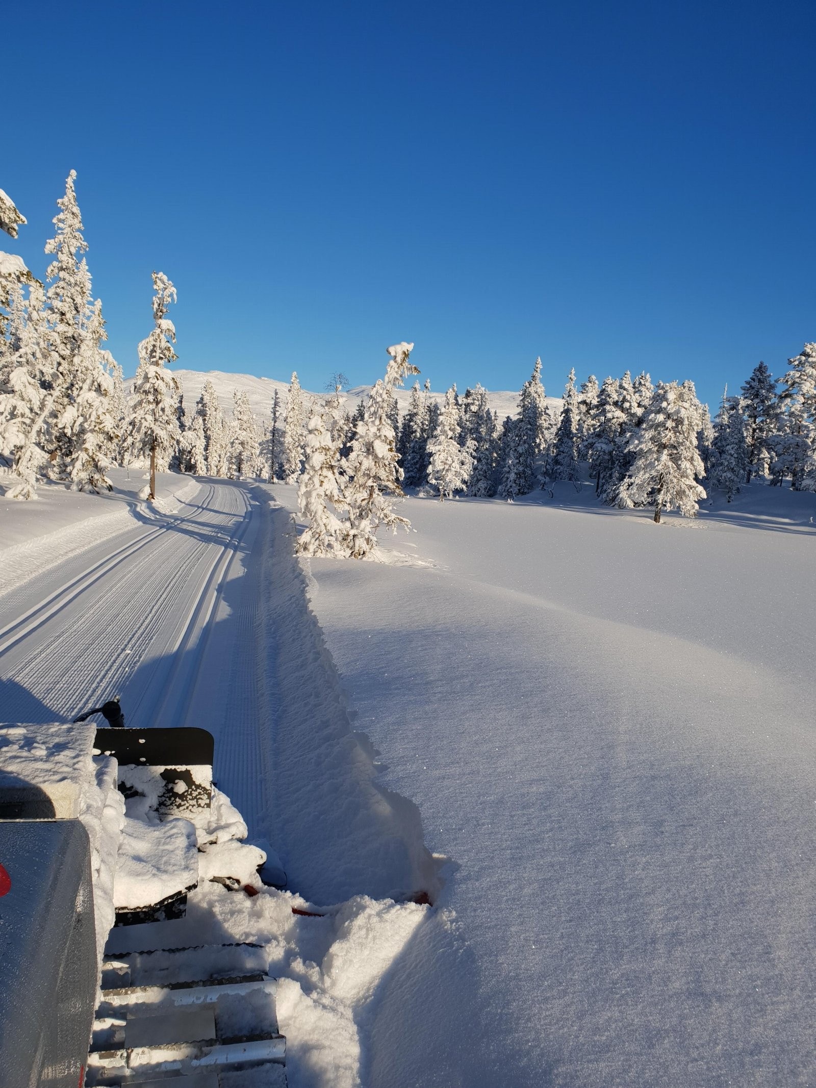 Langrennsløyper - eventryløypa. Galleribilde
