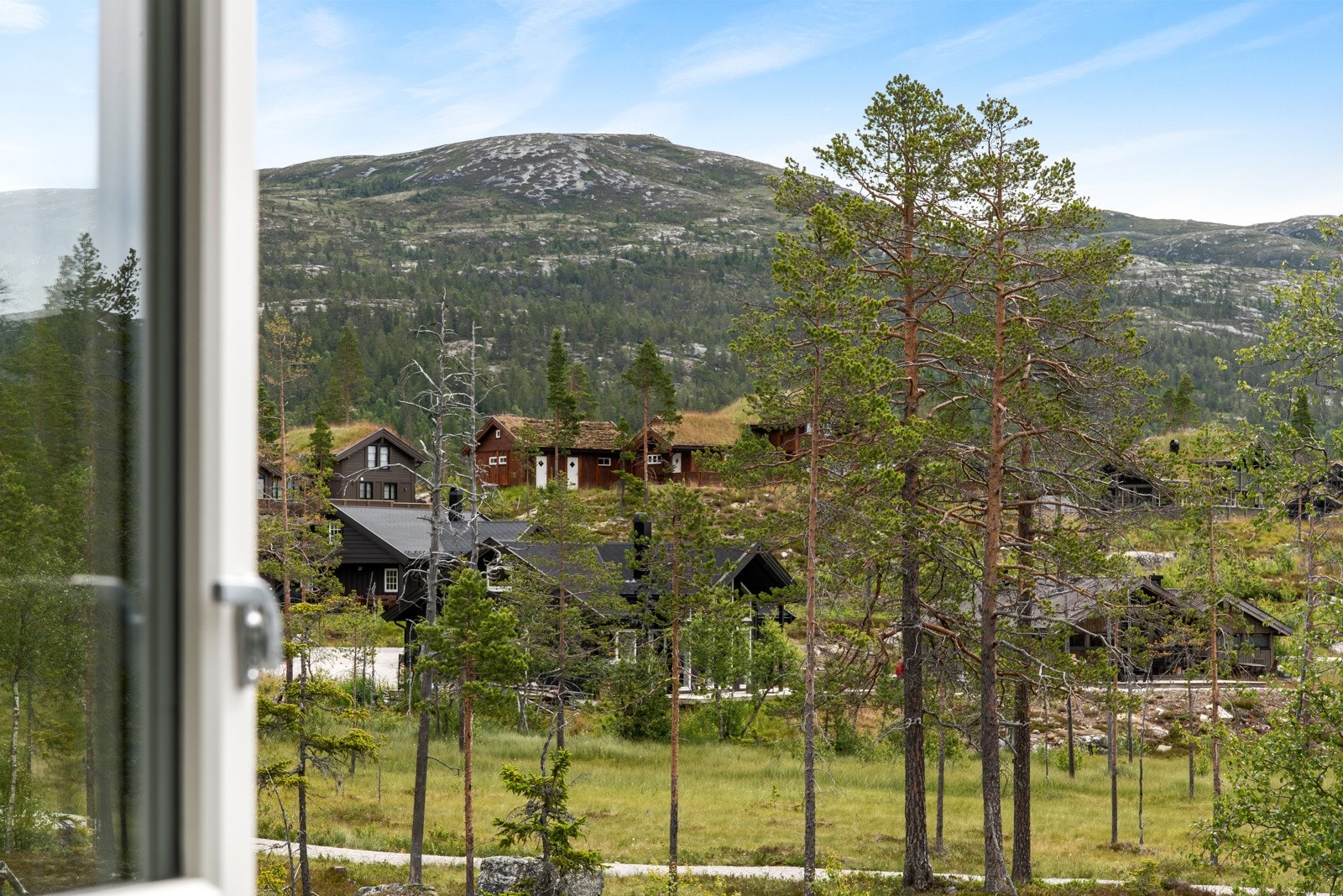 Flott utsikt fra hemsen. Galleribilde