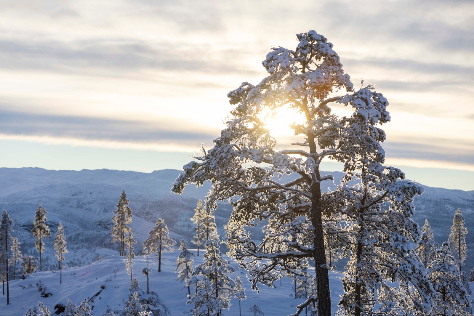 Stemningsbilde. Galleribilde