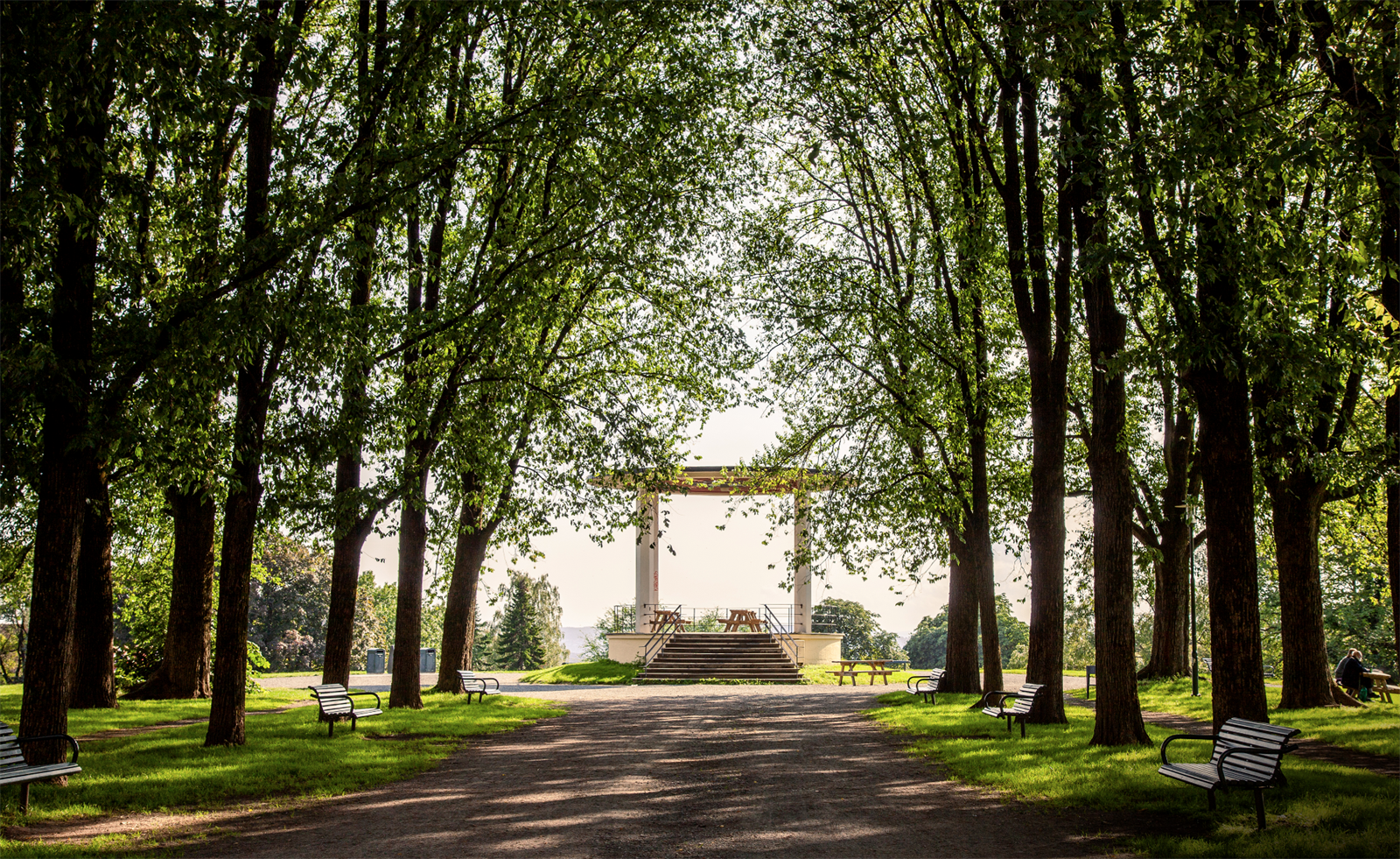 Områdebilde Galleribilde