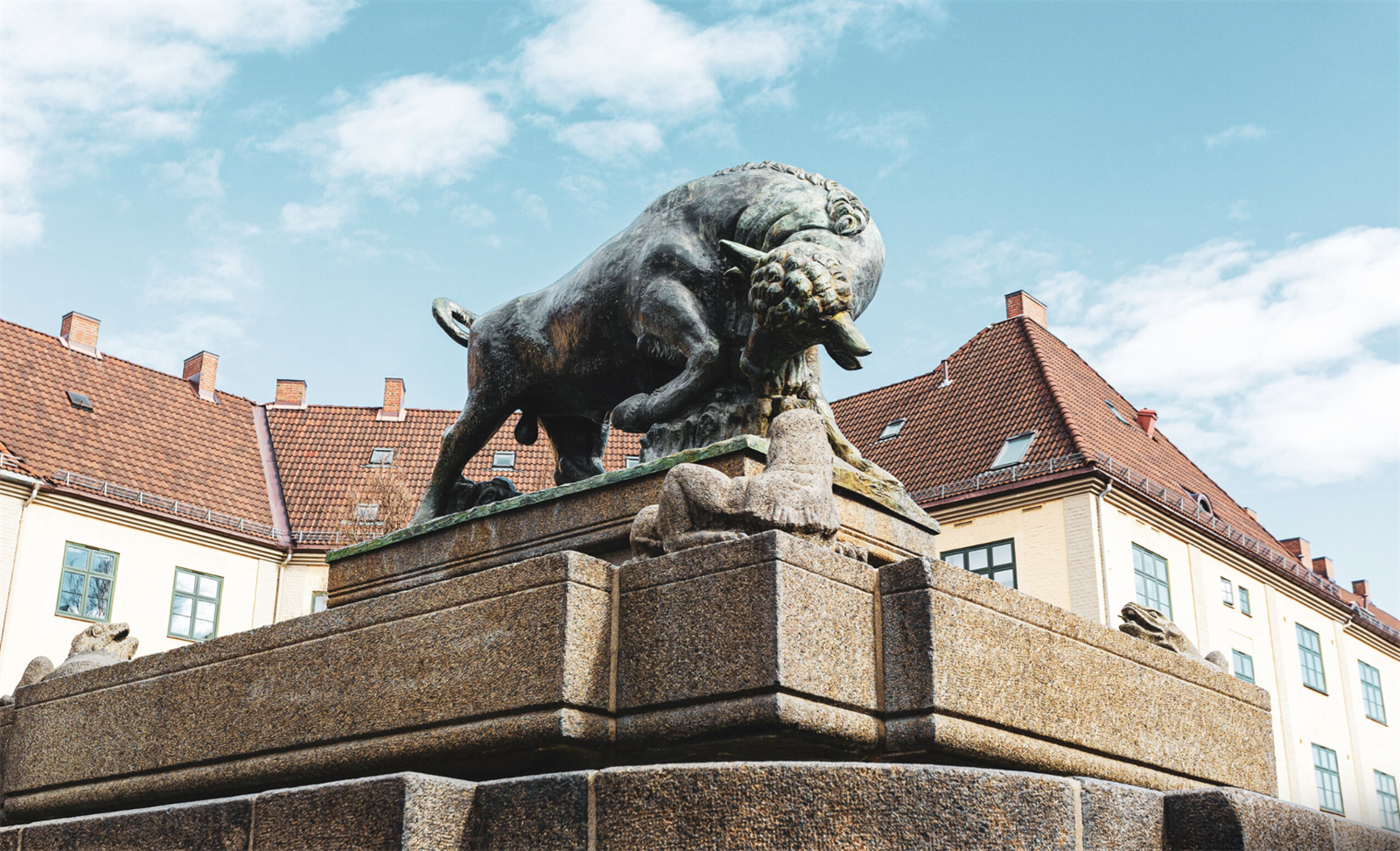 Områdebilde. Galleribilde