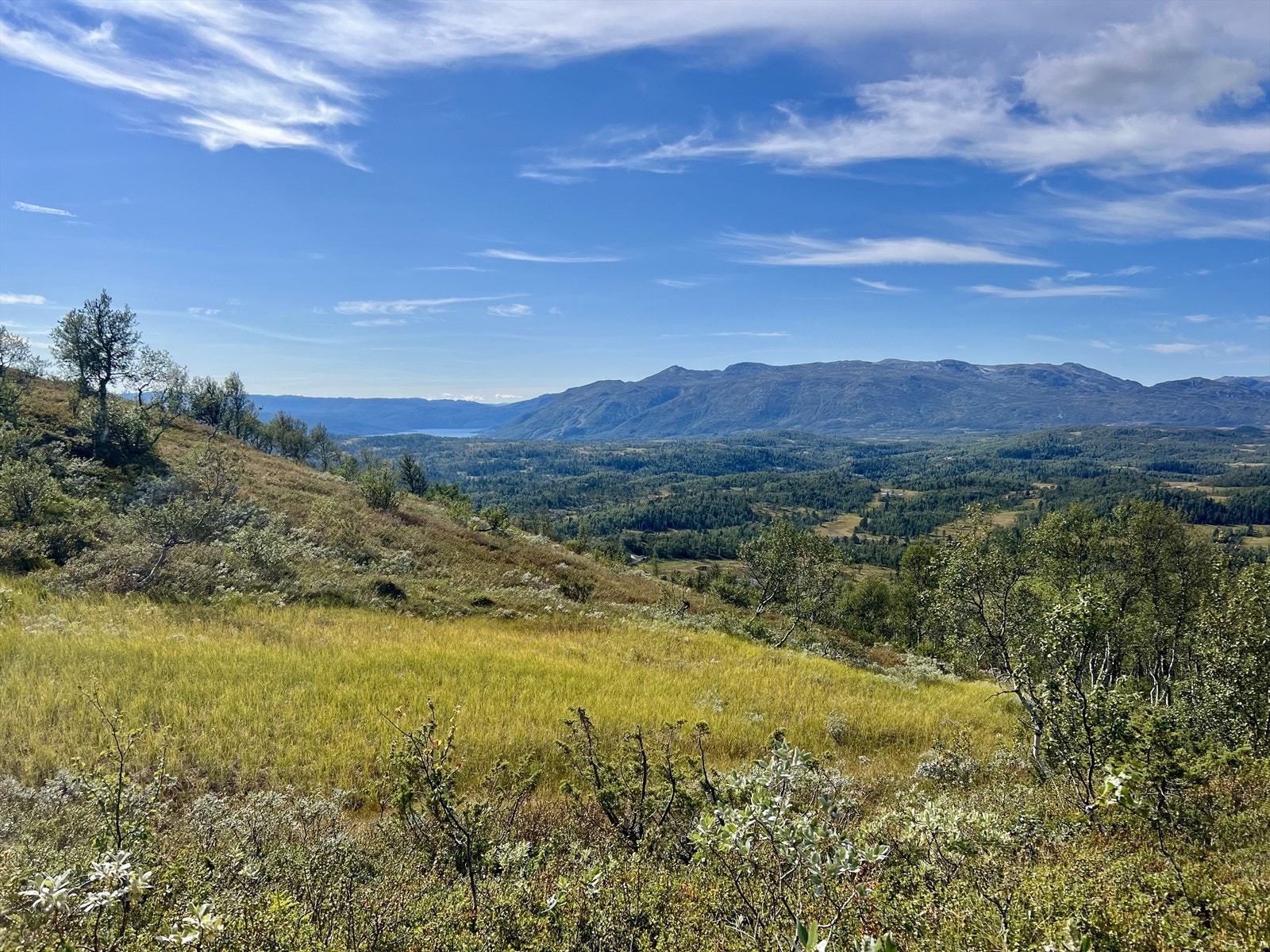 Selgers egne bilder av nærområde Galleribilde