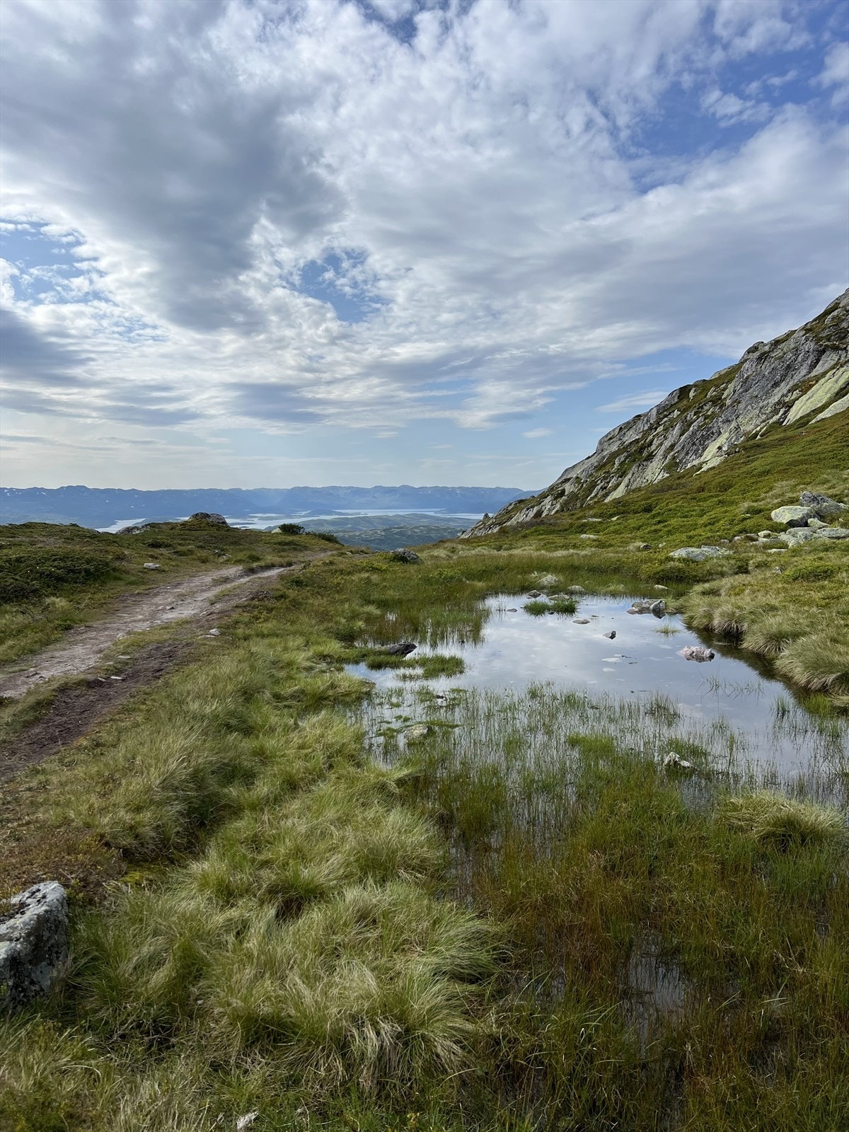 Selgers egne bilder av nærområde Galleribilde