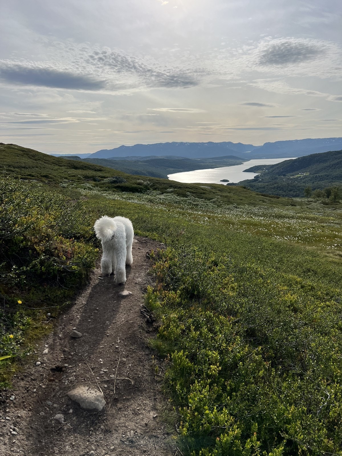Selgers egne bilder av nærområde Galleribilde