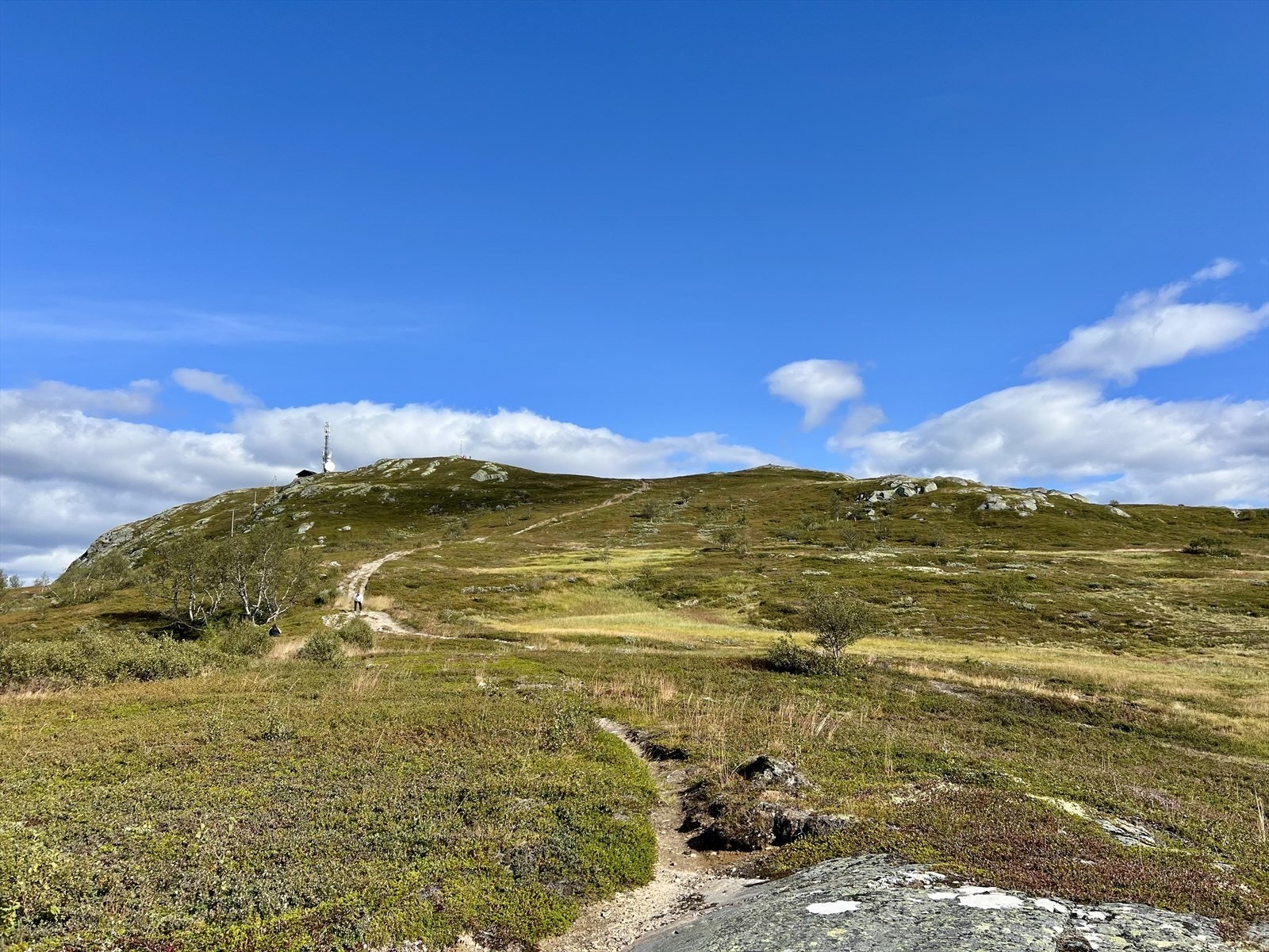 Selgers egne bilder av nærområde - Killingnuten Galleribilde