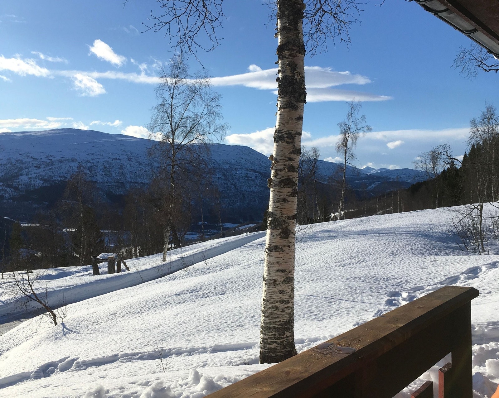 Flott utsikt fra veranda! Galleribilde