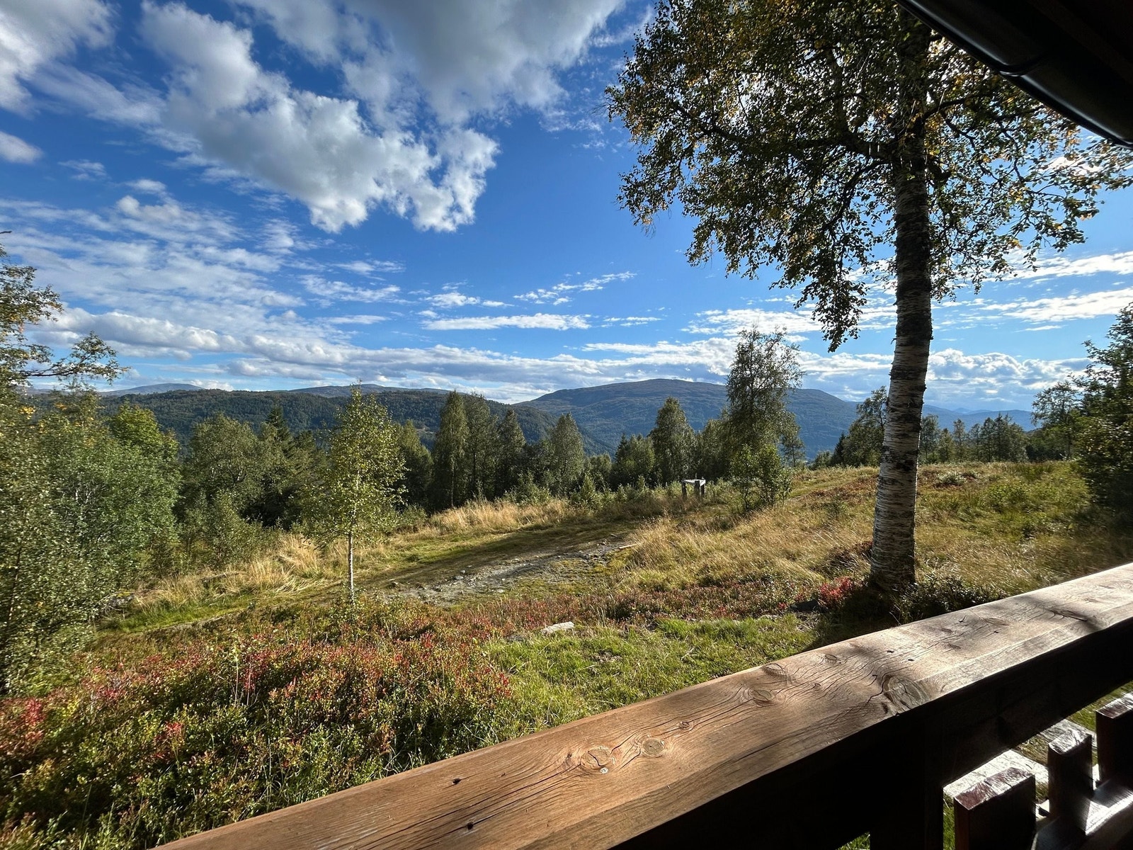 Flott utsikt fra veranda! Galleribilde
