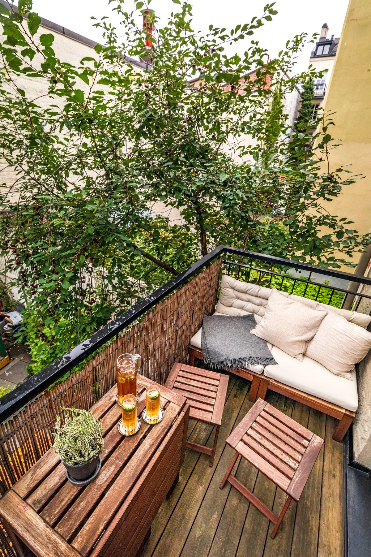 Her er det plass til sittegruppe. Kirsebærtre med nydelige hvite blomster på våren og frukt på sensommeren. Galleribilde