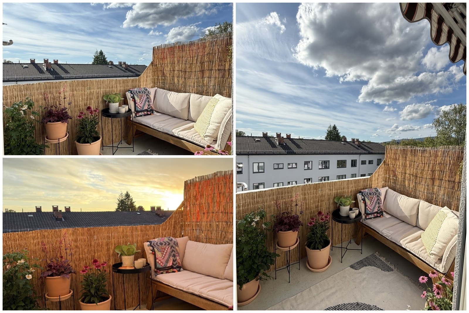 Selgers sommerbilder fra en godværsdag. Galleribilde