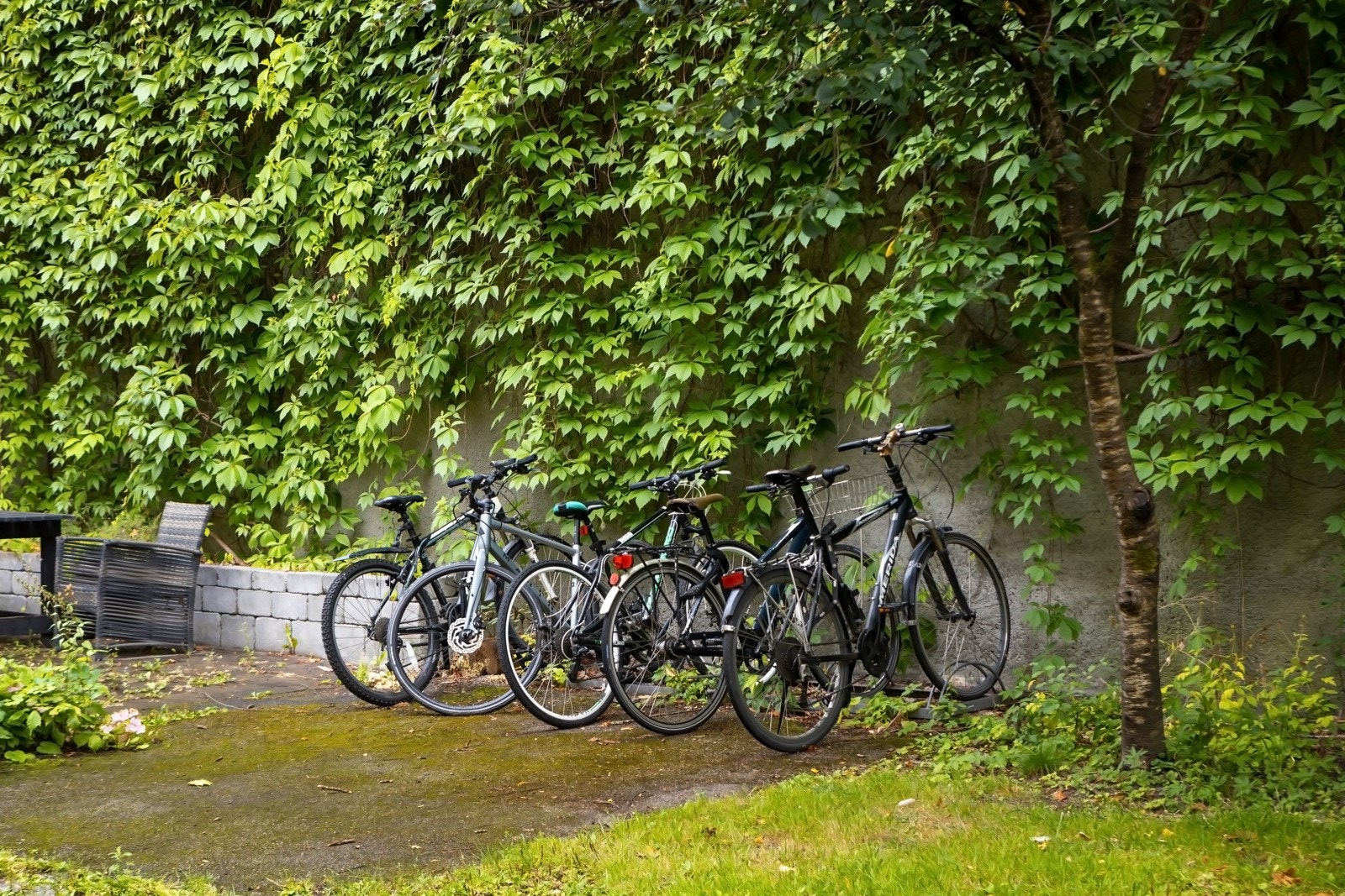 Pent opparbeidet bakgård med sittegrupper, sykkelparkering og beplantning. Galleribilde