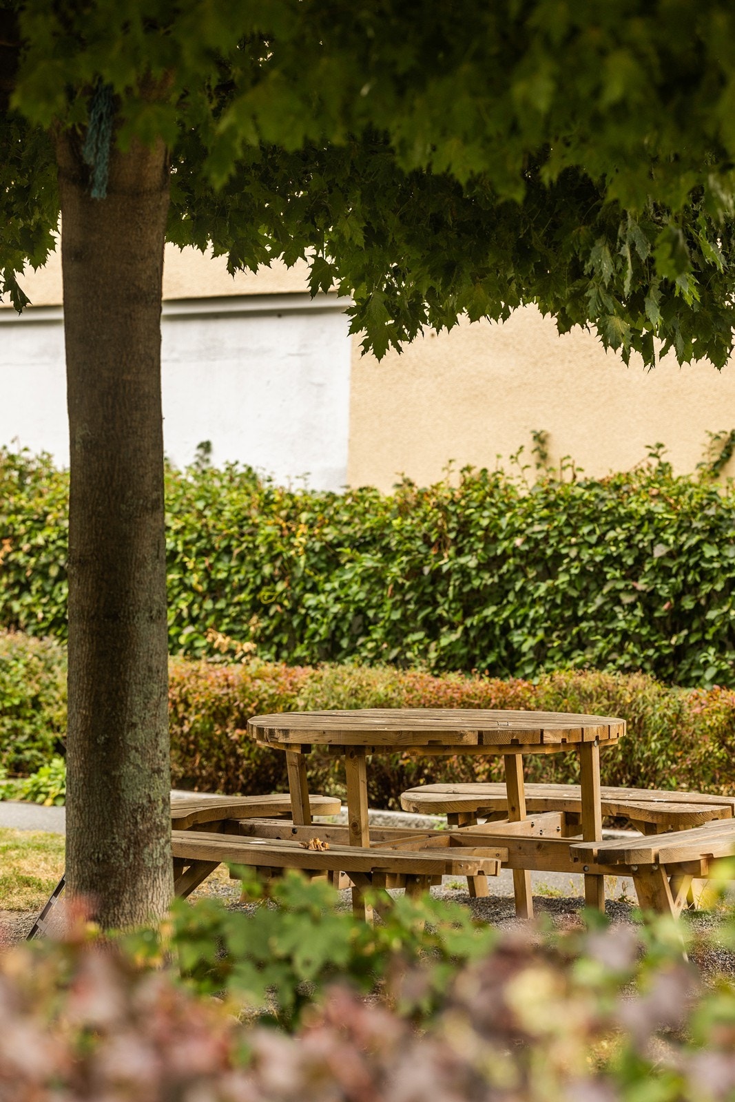 Område Galleribilde