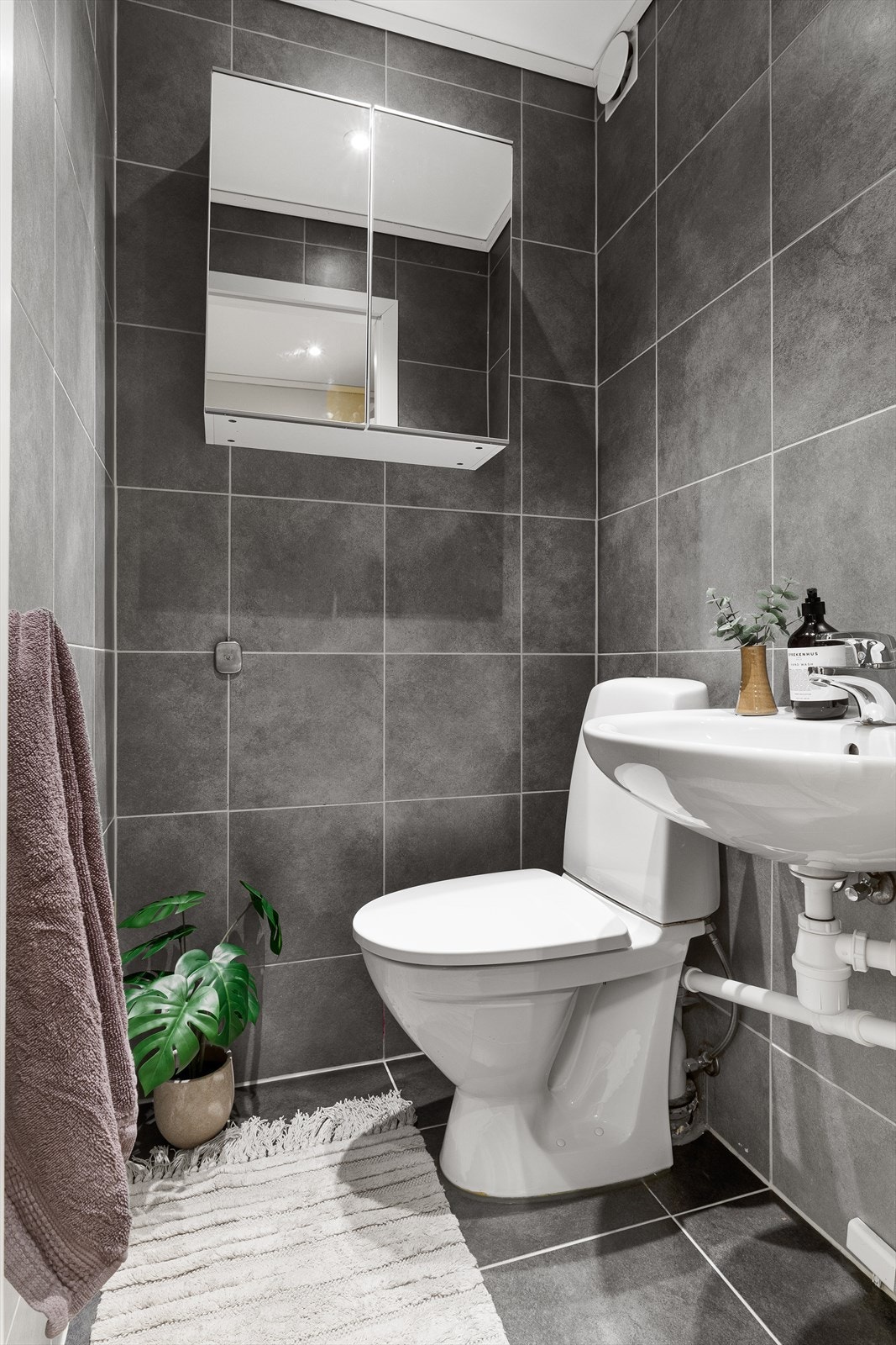 Flott adskilt toalettrom. Galleribilde