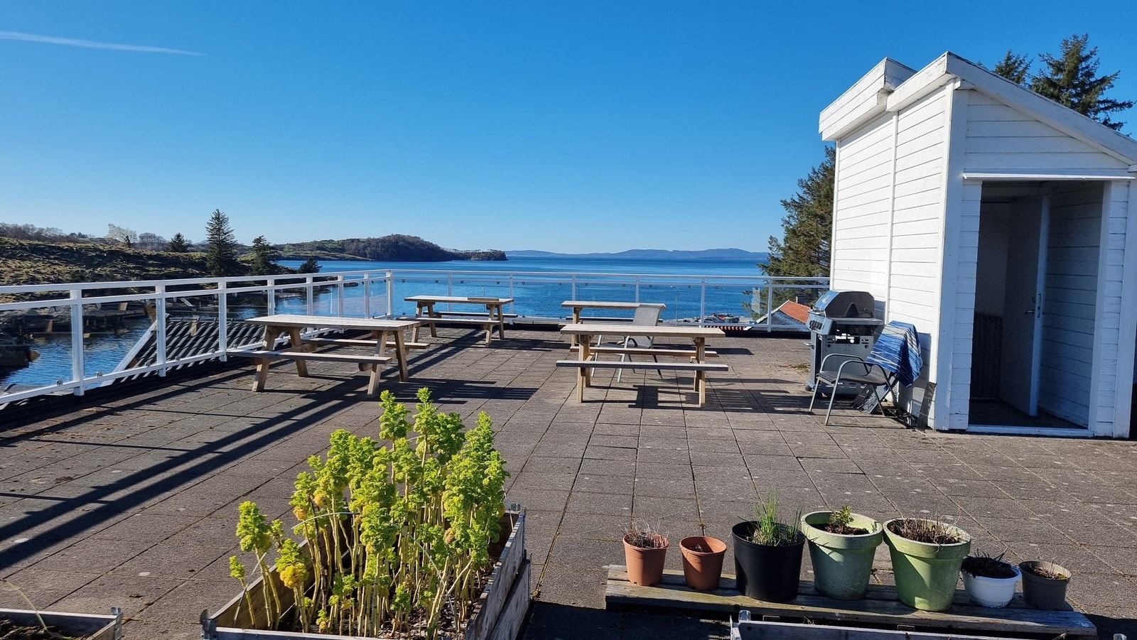 Takterrassen. Her kan du være med og dyrke grønnsaker og div. Galleribilde