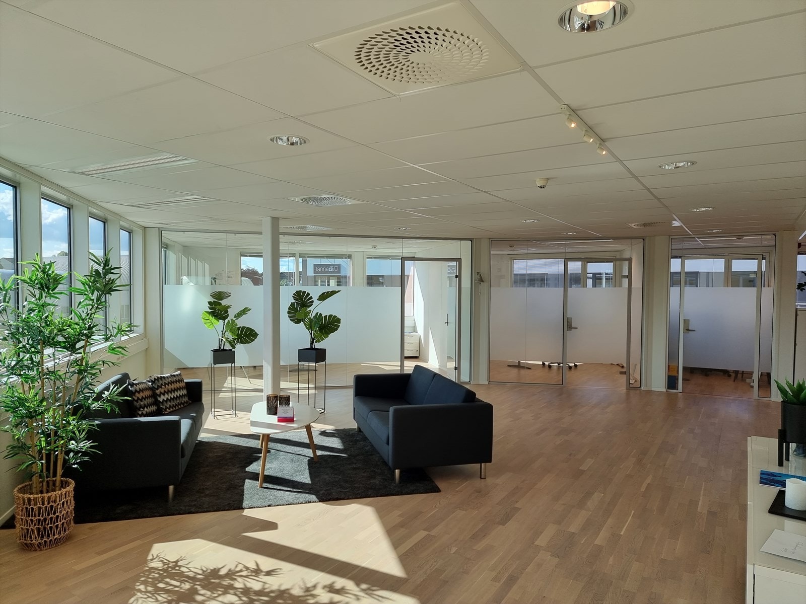 20230705_093739.jpg Galleribilde