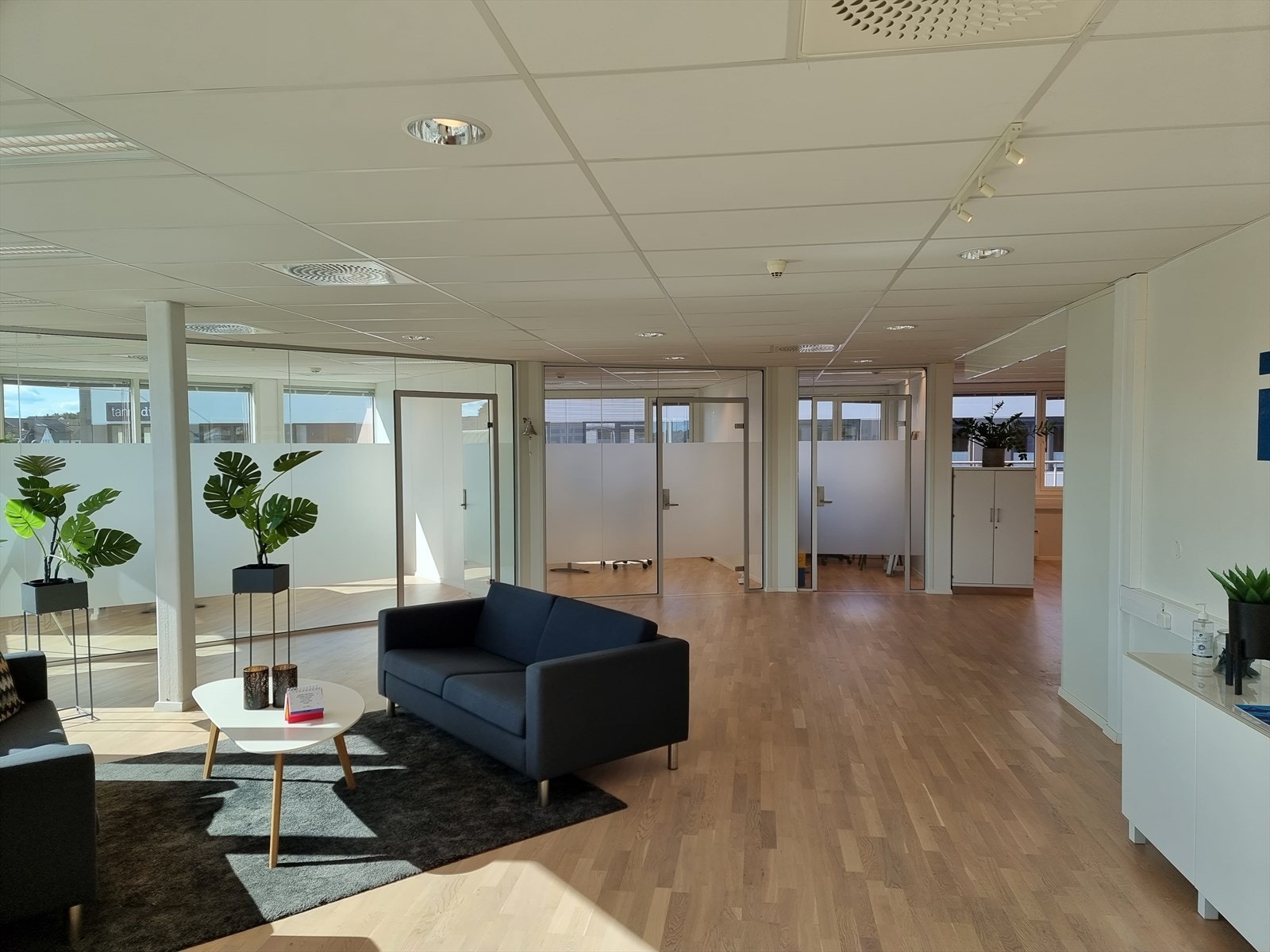 20230705_093746.jpg Galleribilde