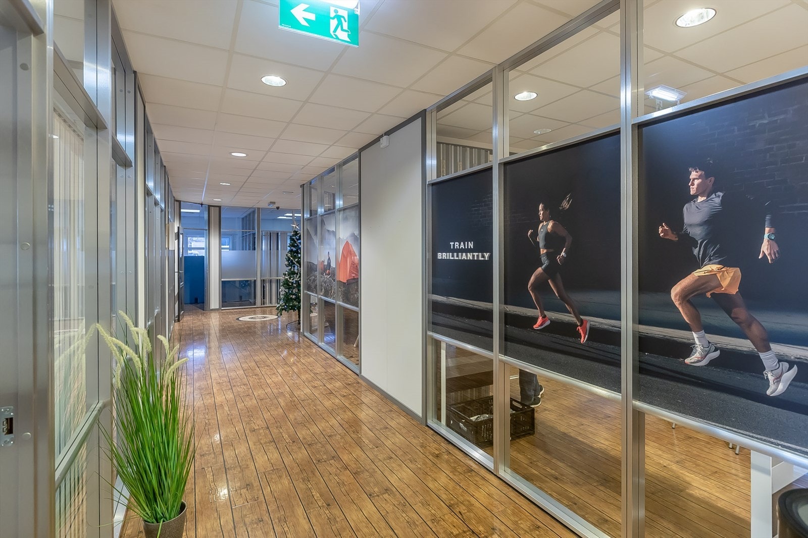 Dillingtoppen-15-18.jpg Galleribilde