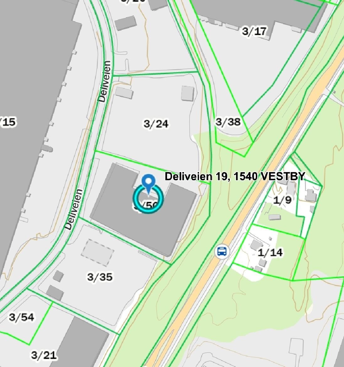 Deliveien 19 Galleribilde