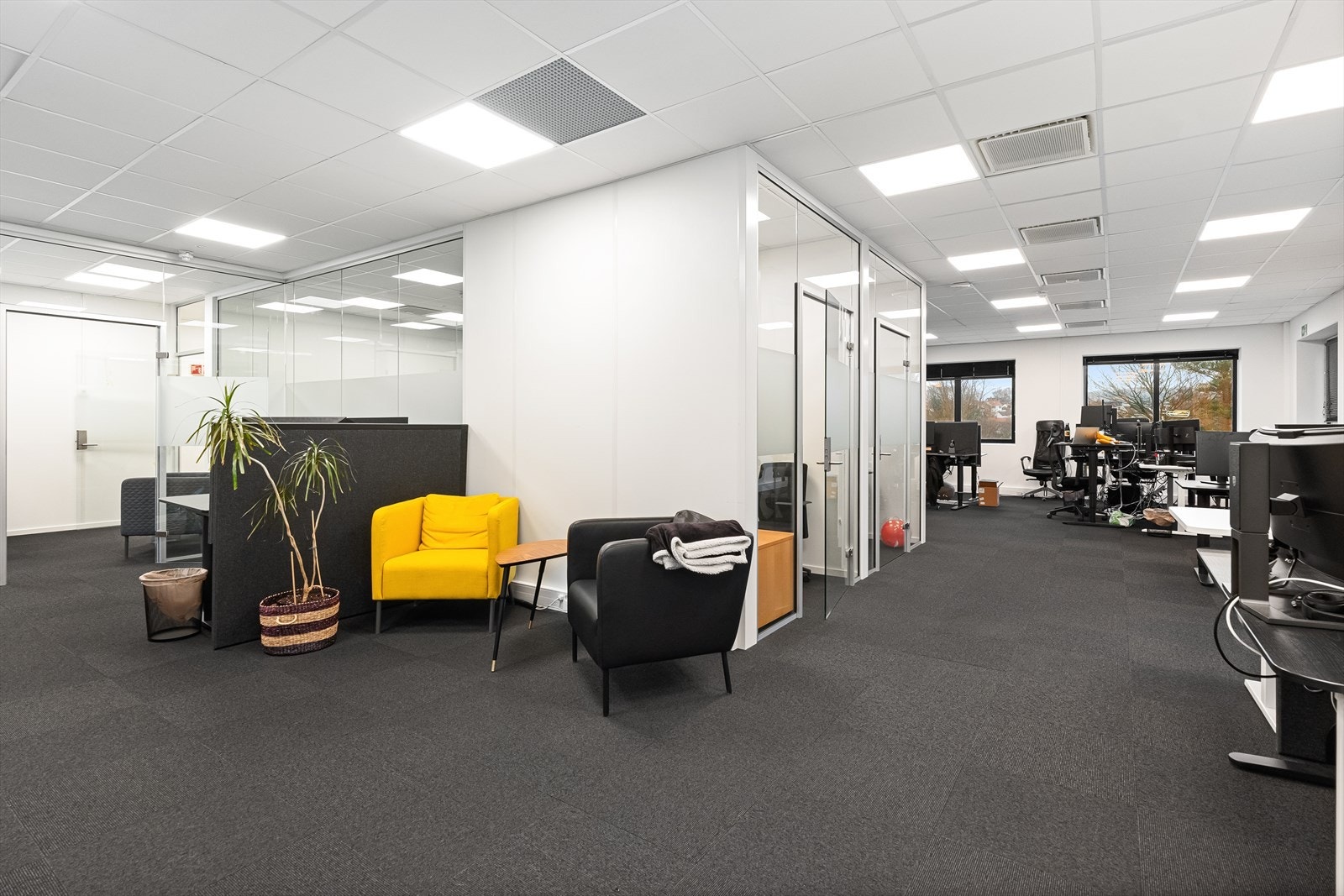 DSCF7994.jpg Galleribilde