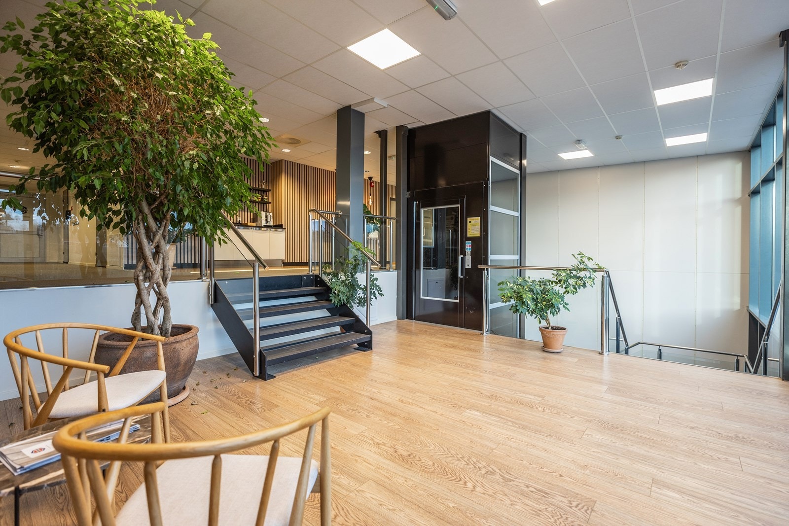 Sosial sone inngangsparti Galleribilde