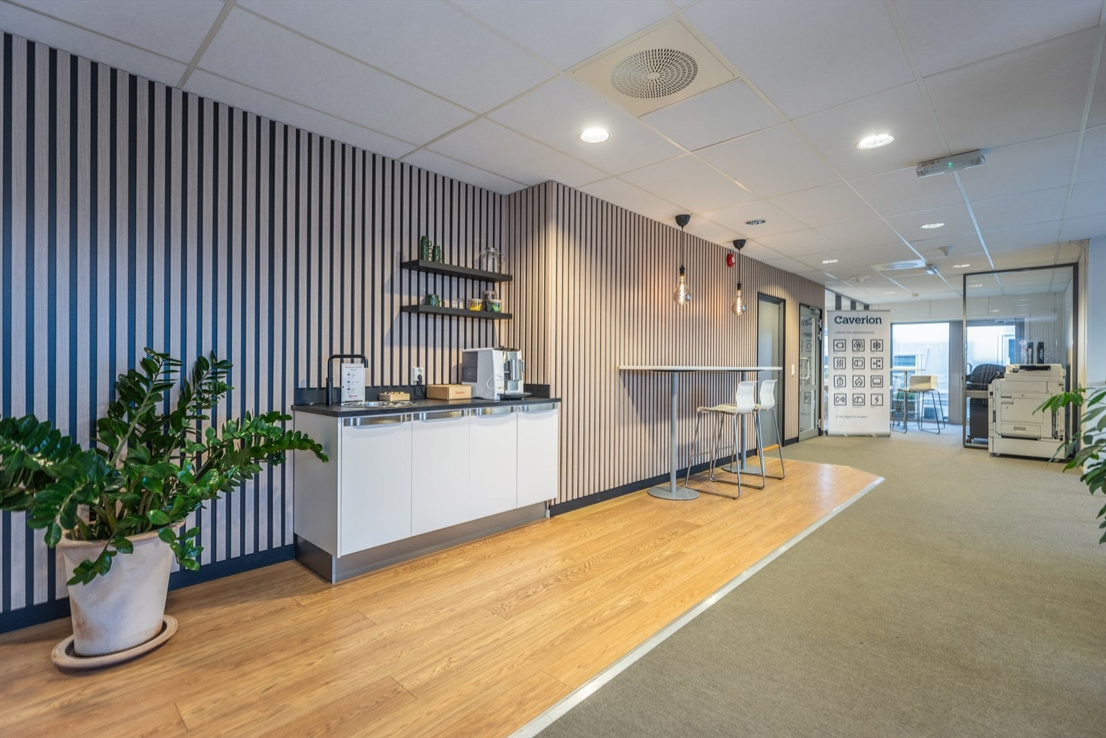 Fellesområde/sosial sone Galleribilde