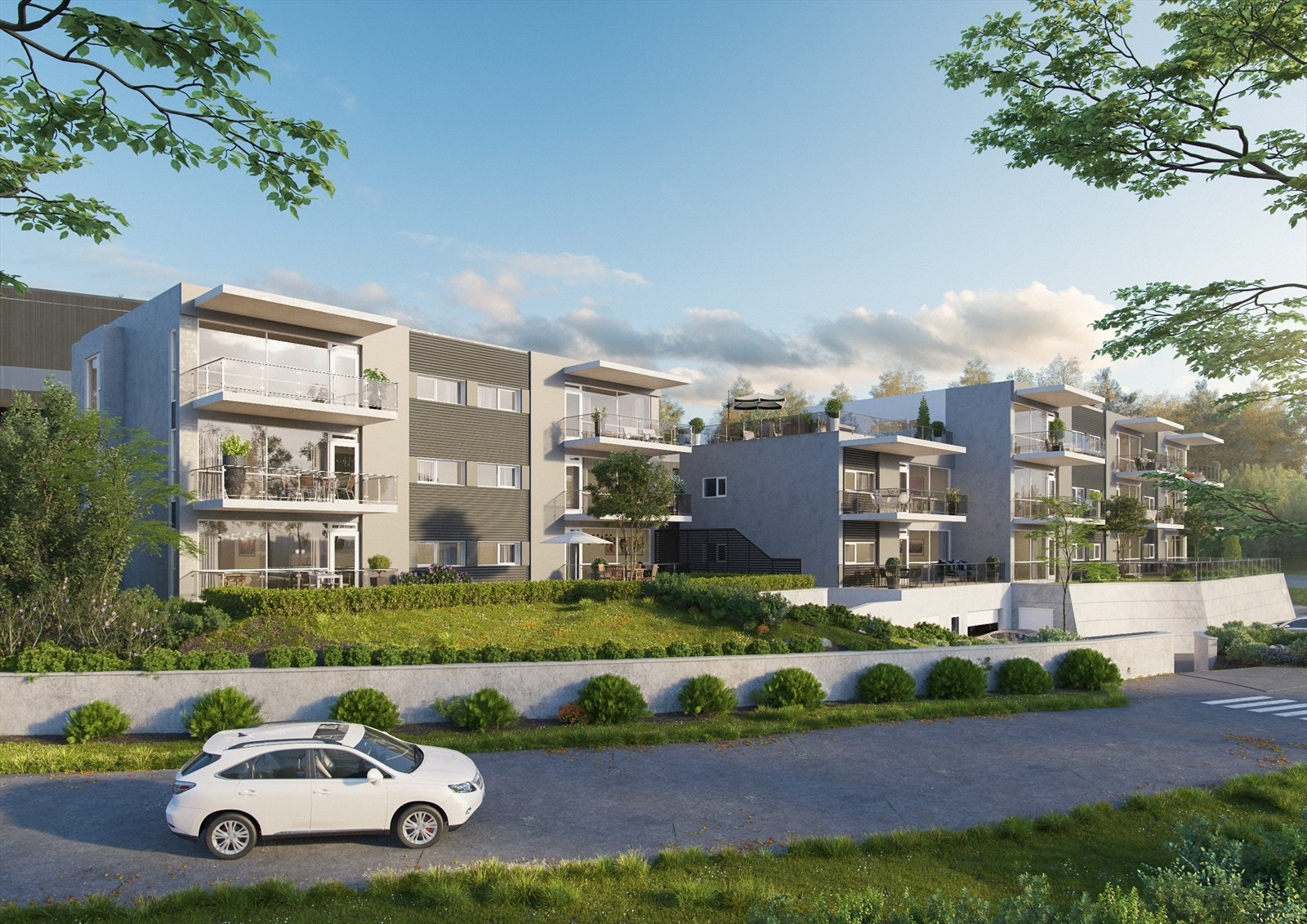 6079_5.jpg Galleribilde