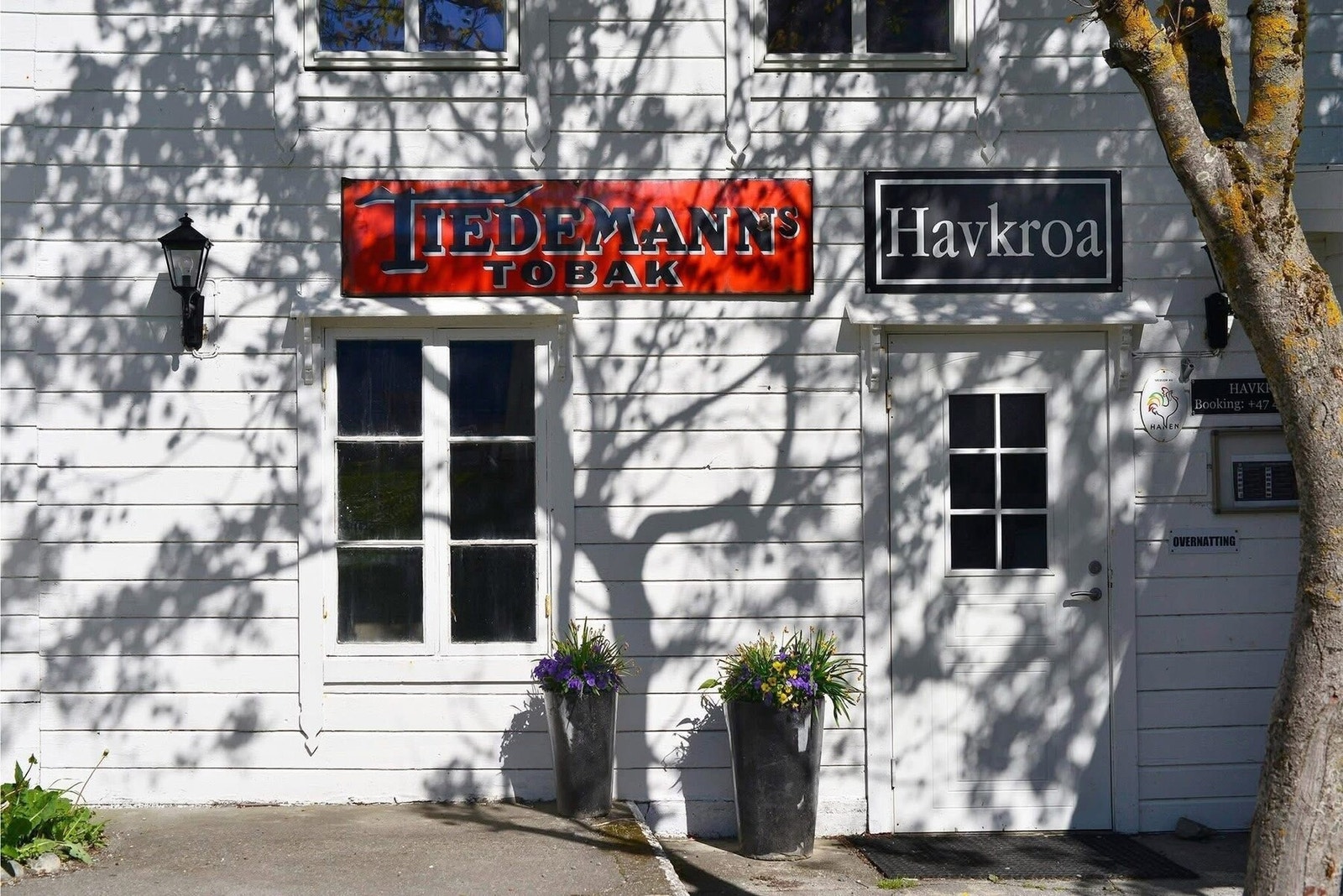 Egne bilder fra selger Galleribilde