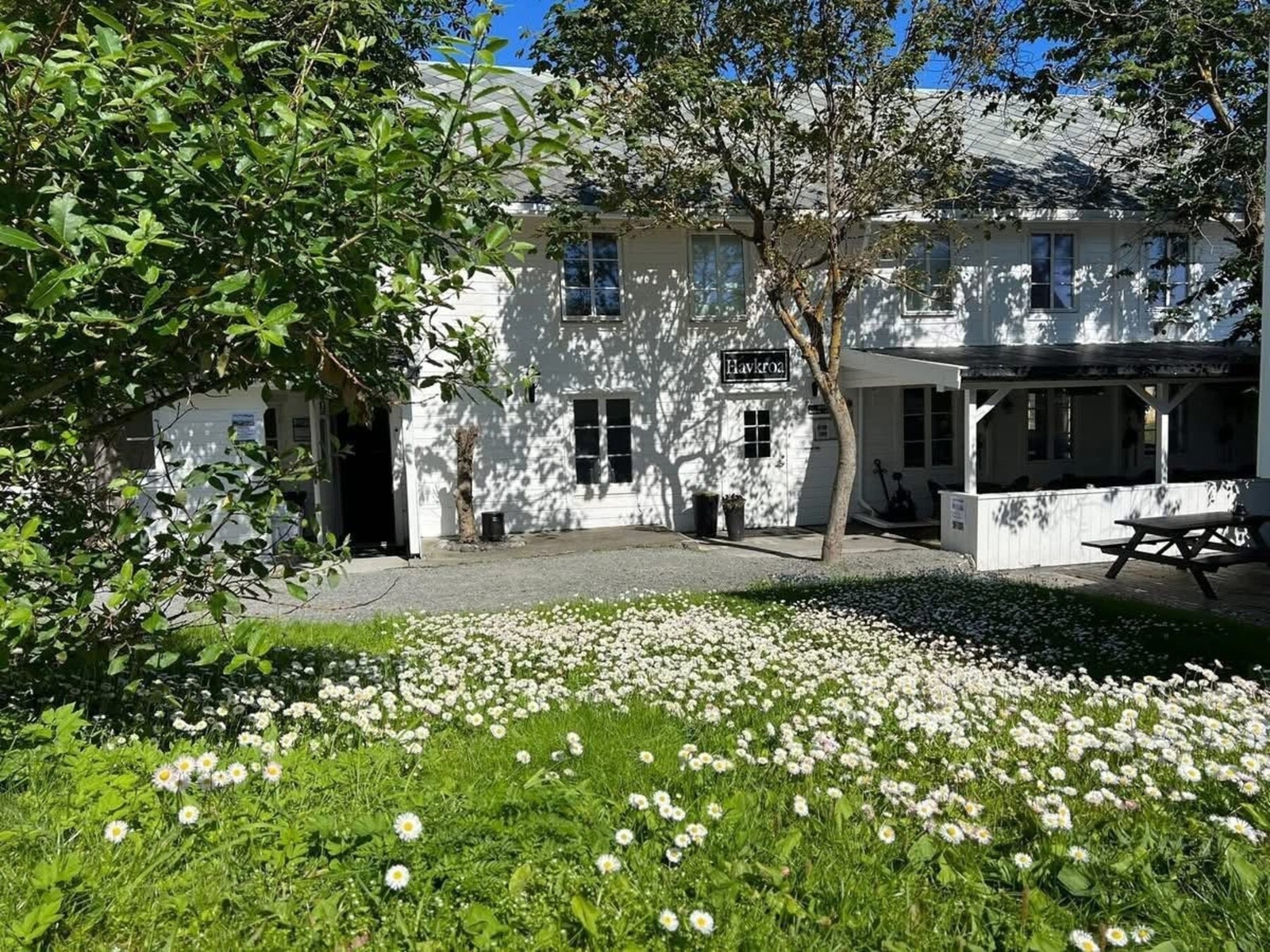 Egne bilder fra selger Galleribilde